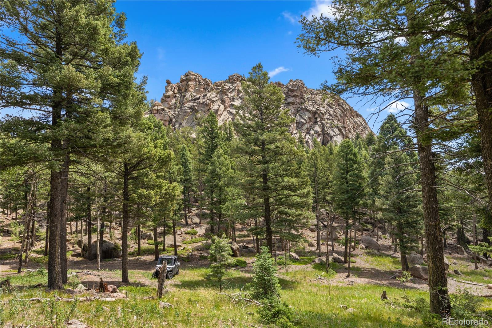 MLS Image #29 for 26271  richmond hill road,conifer, Colorado