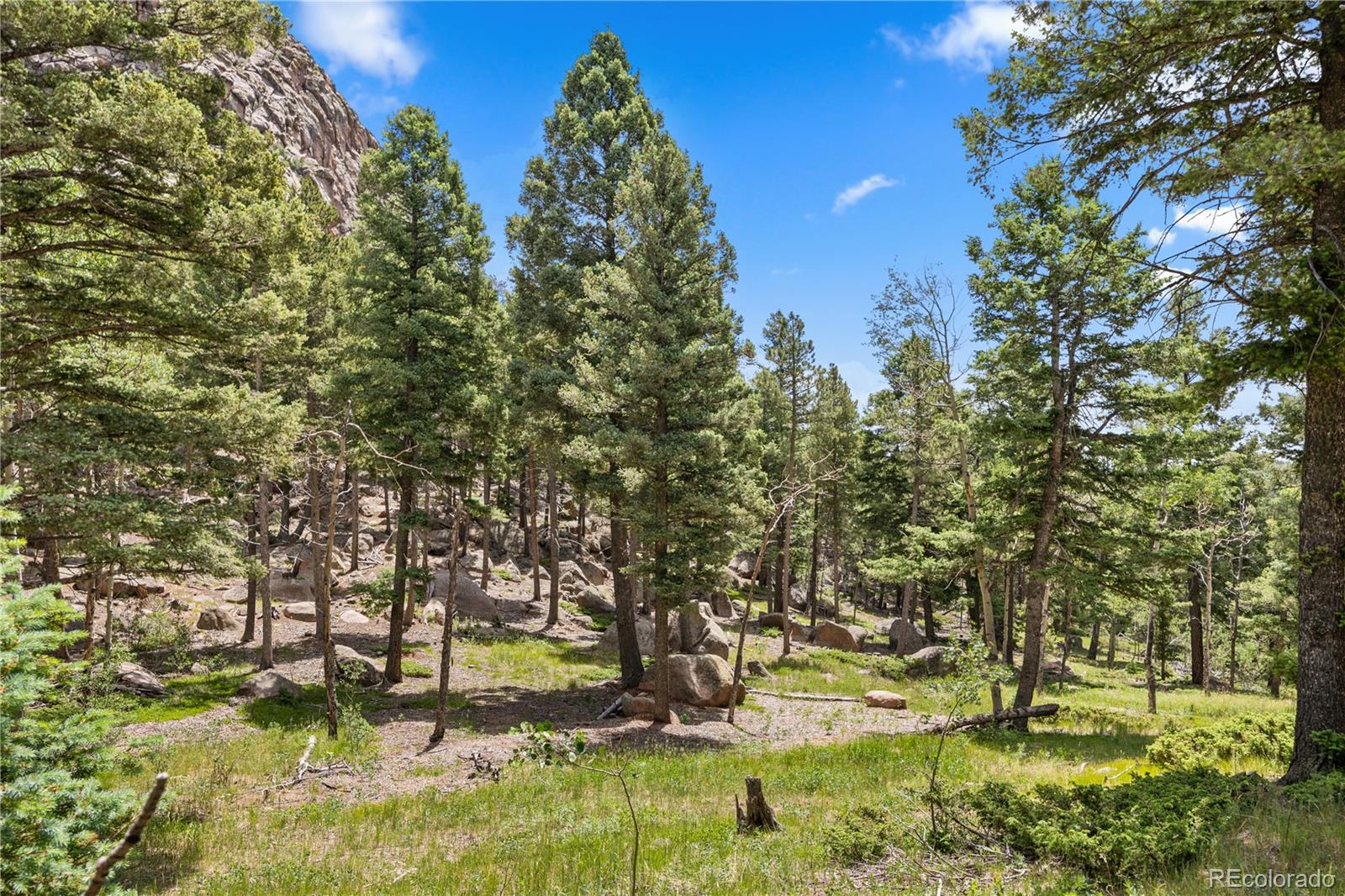 MLS Image #31 for 26271  richmond hill road,conifer, Colorado