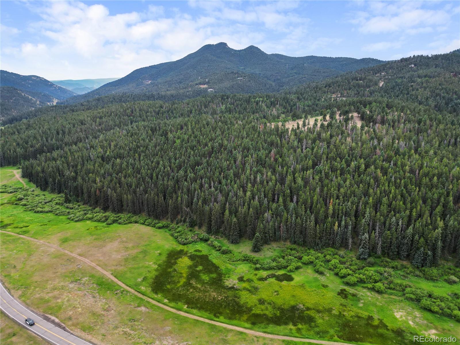 MLS Image #46 for 26271  richmond hill road,conifer, Colorado