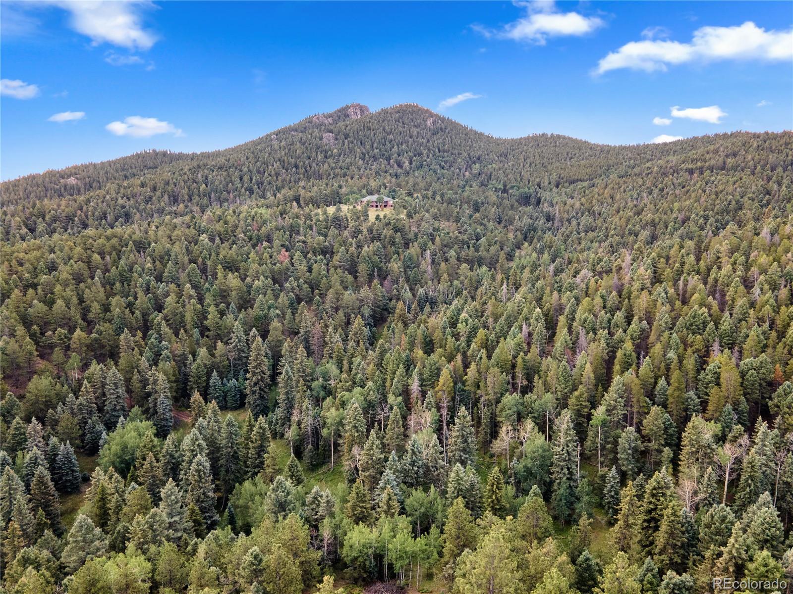 MLS Image #9 for 26271  richmond hill road,conifer, Colorado