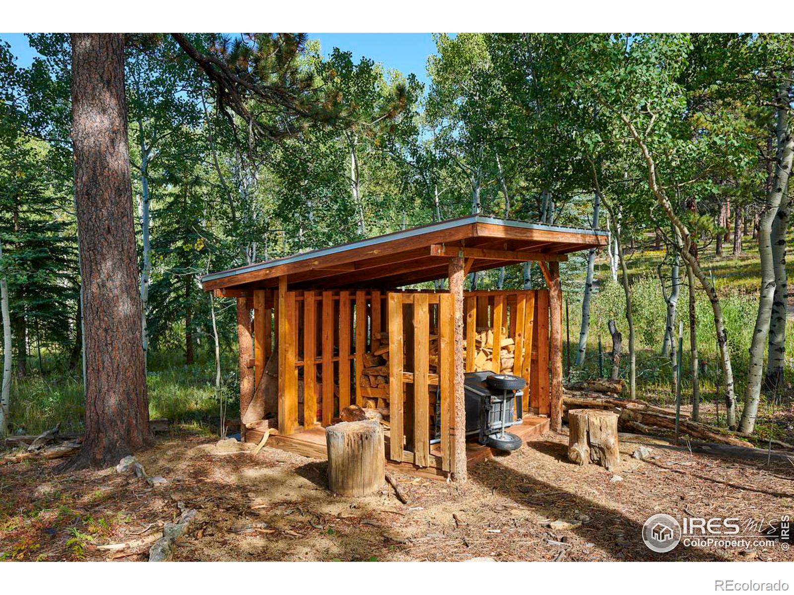 MLS Image #22 for 3497  coal creek canyon drive,pinecliffe, Colorado