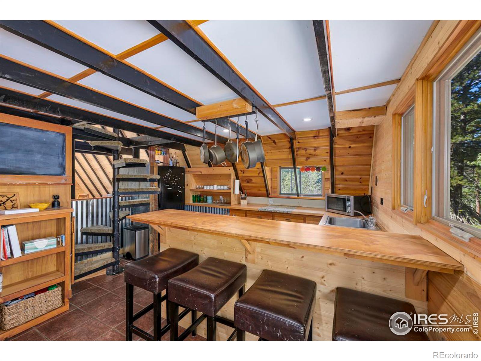 MLS Image #4 for 3497  coal creek canyon drive,pinecliffe, Colorado