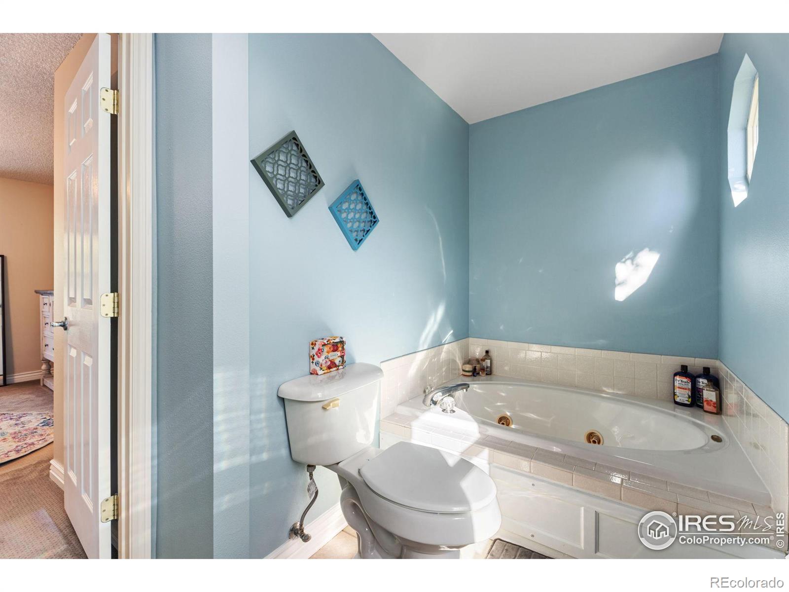 MLS Image #13 for 1416  tori court,loveland, Colorado