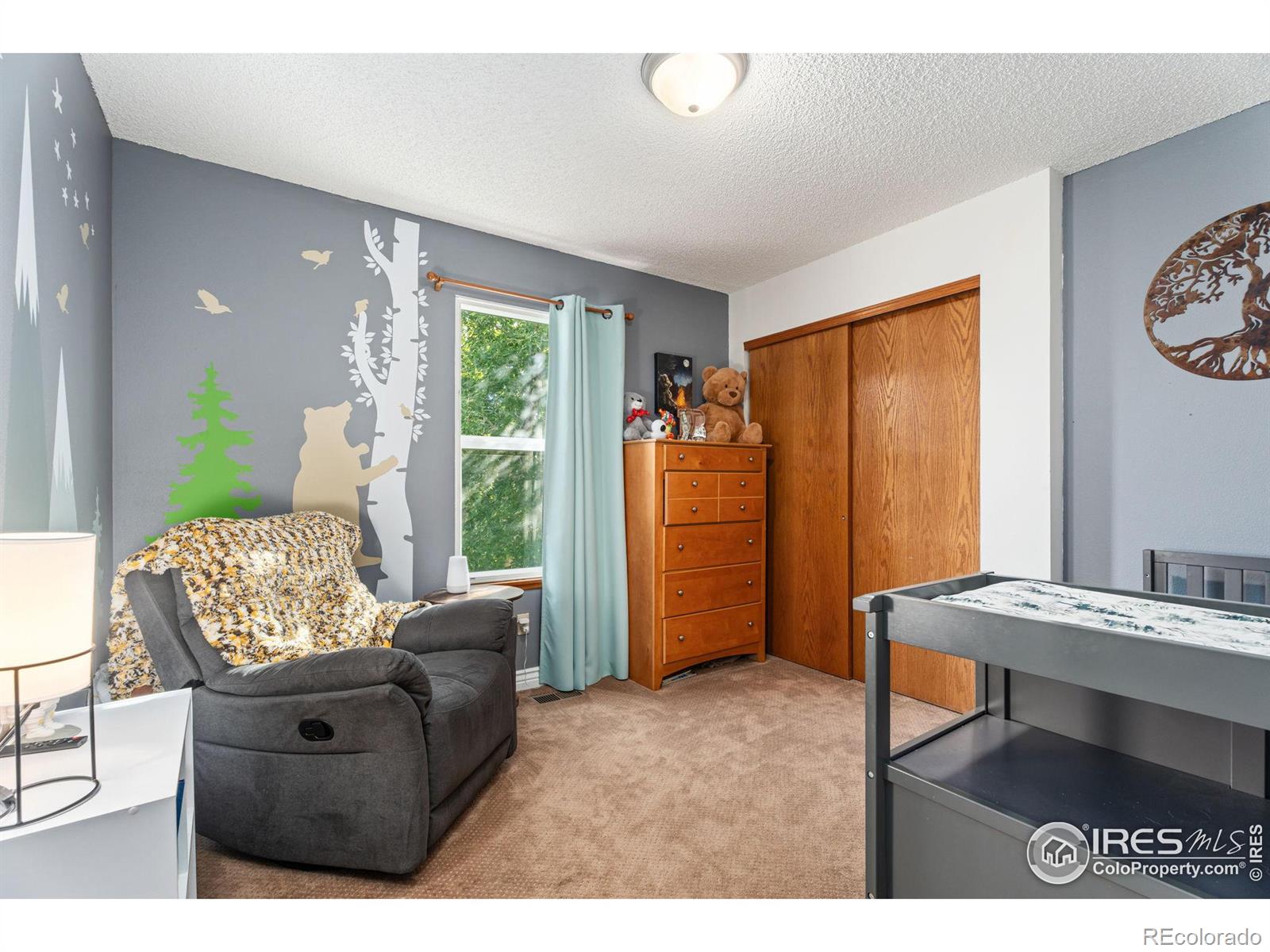 MLS Image #18 for 1416  tori court,loveland, Colorado