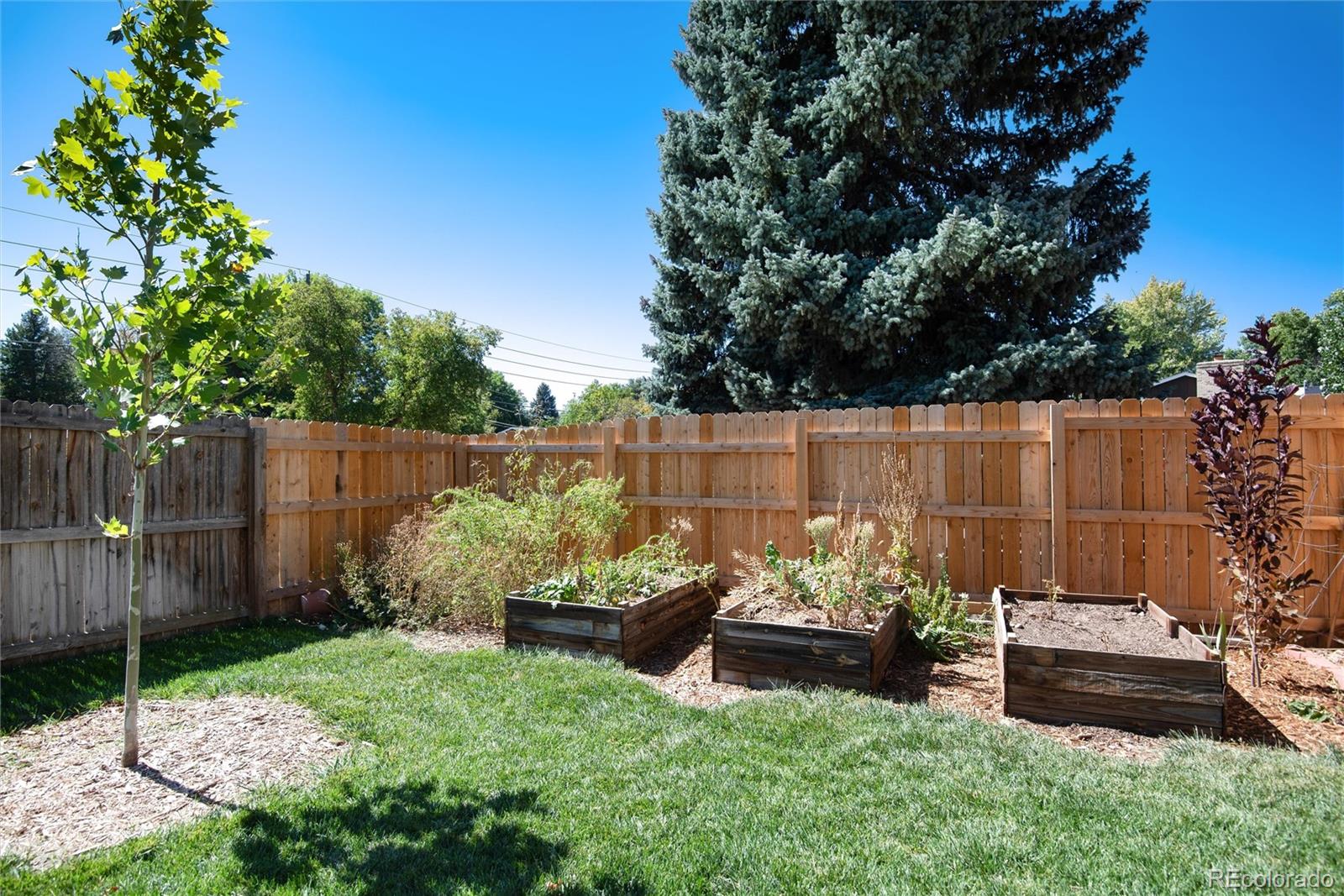 MLS Image #42 for 6294 s cedar street,littleton, Colorado