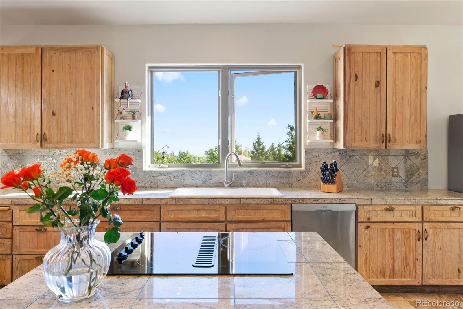 MLS Image #13 for 12291 s critchell lane,littleton, Colorado