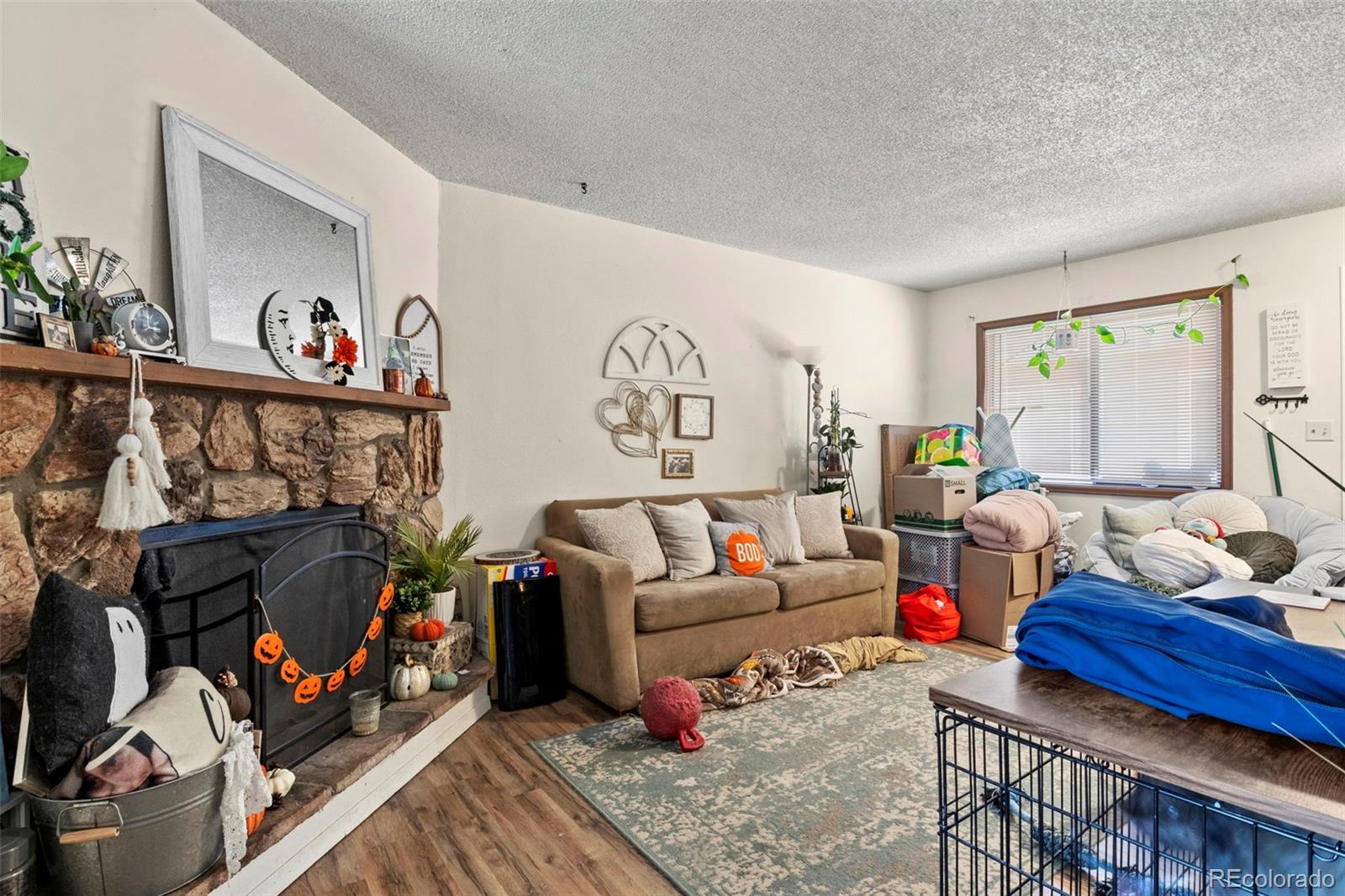 MLS Image #6 for 1858  zebulon drive,colorado springs, Colorado