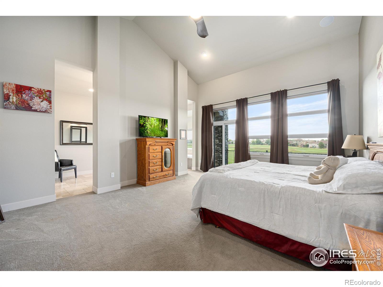 MLS Image #19 for 7397  balcarrick court,windsor, Colorado