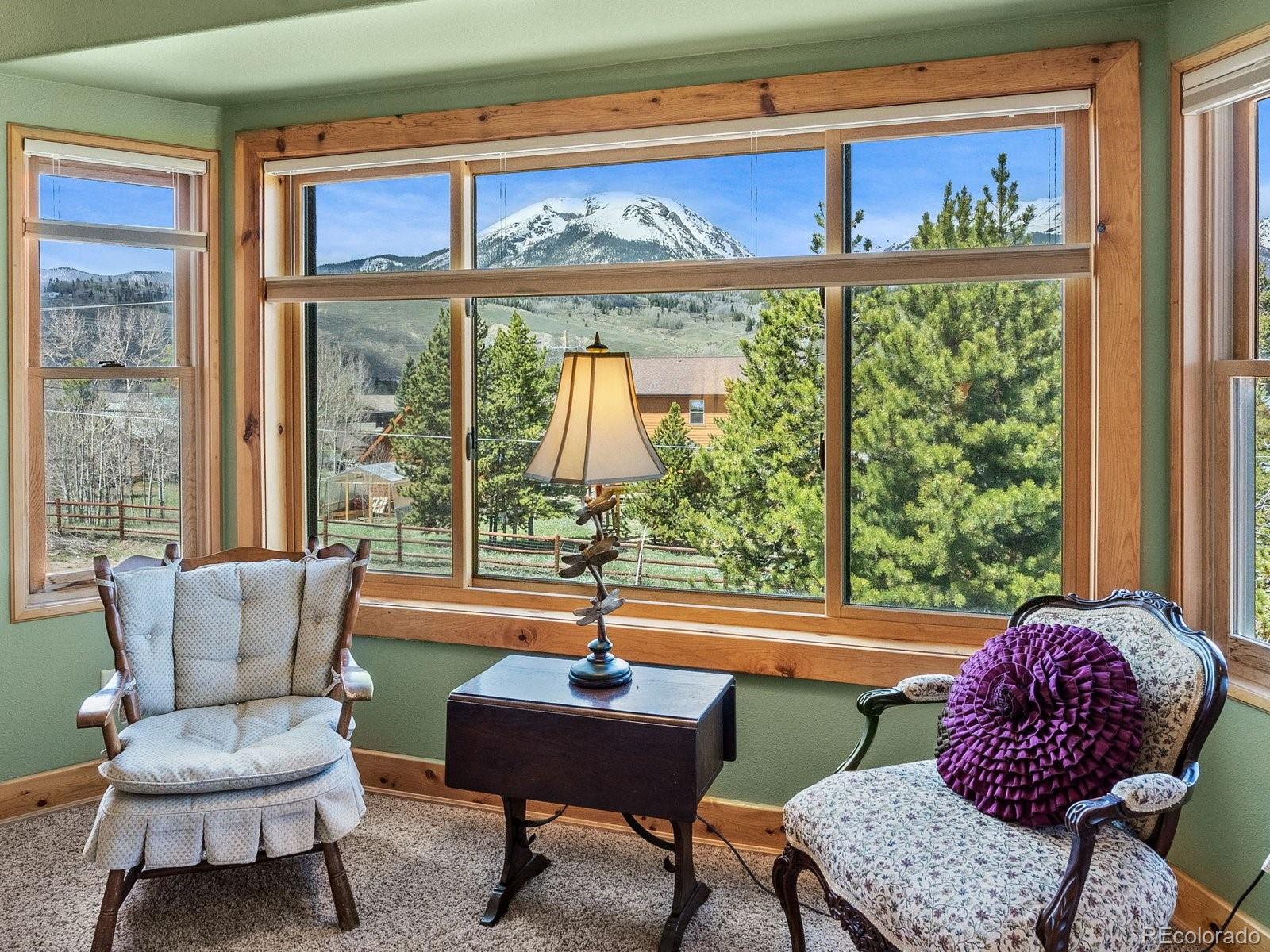 MLS Image #19 for 367  g road,silverthorne, Colorado