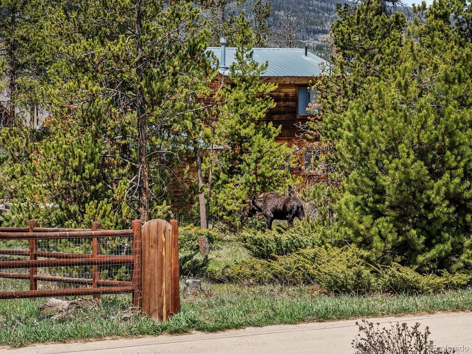 MLS Image #46 for 367  g road,silverthorne, Colorado