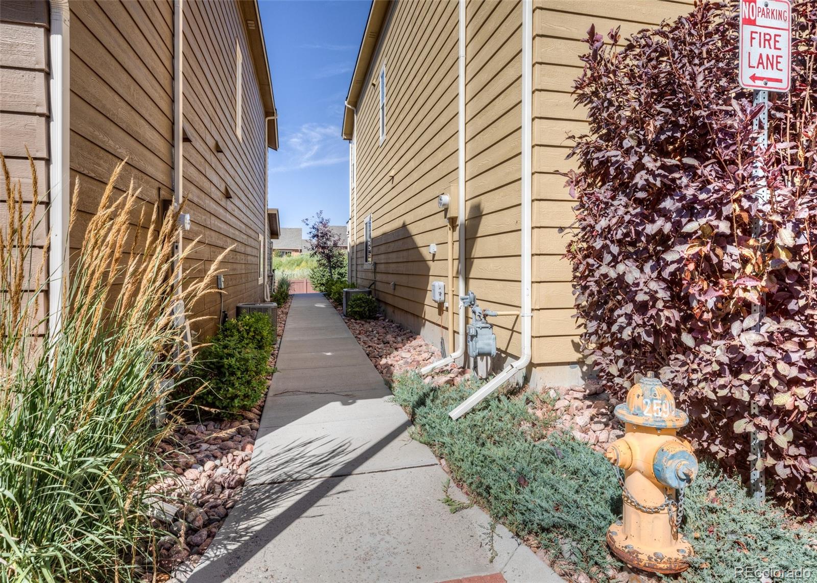 MLS Image #39 for 5640  shamrock heights,colorado springs, Colorado