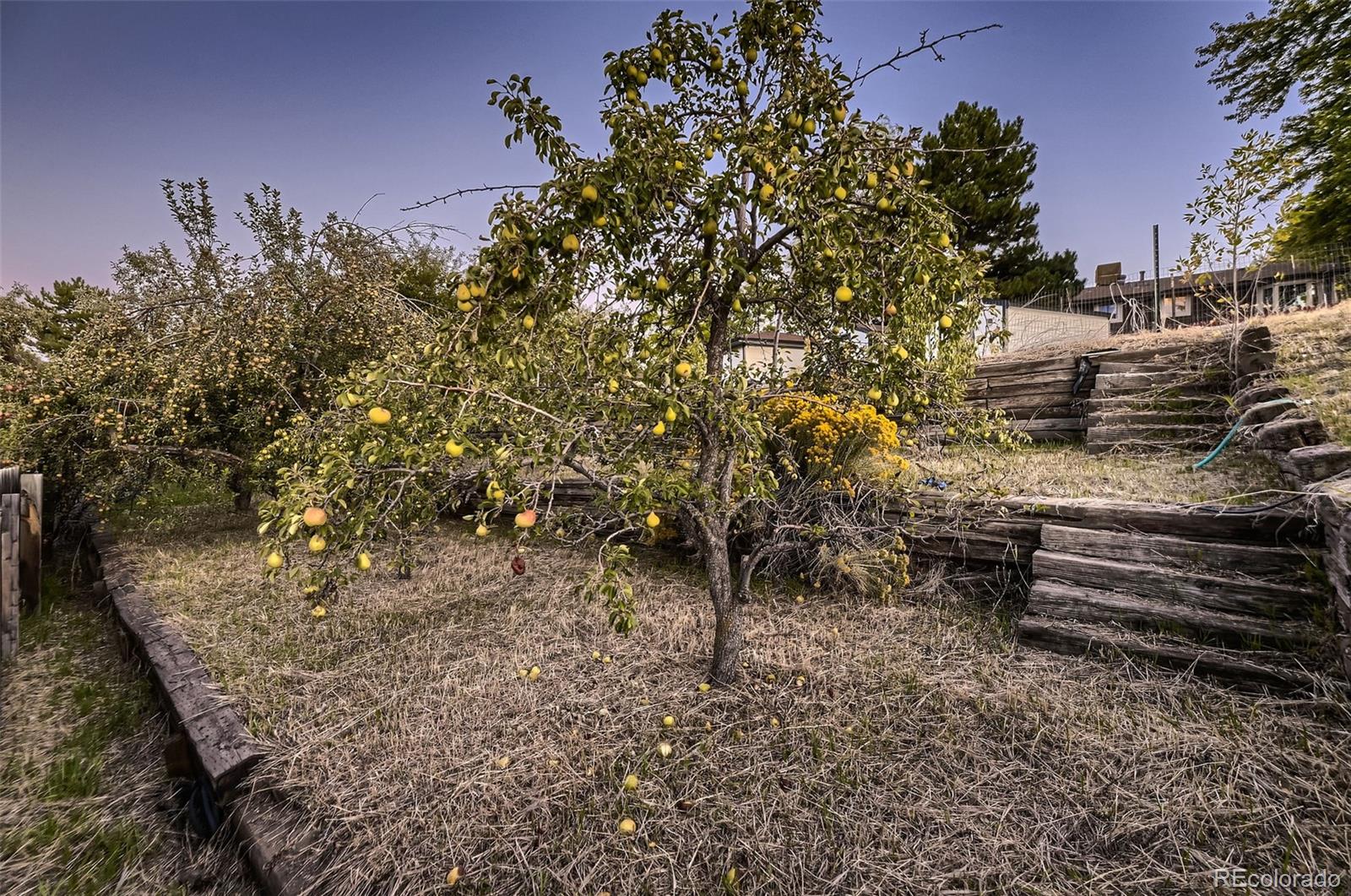 MLS Image #33 for 7315  upham court,arvada, Colorado