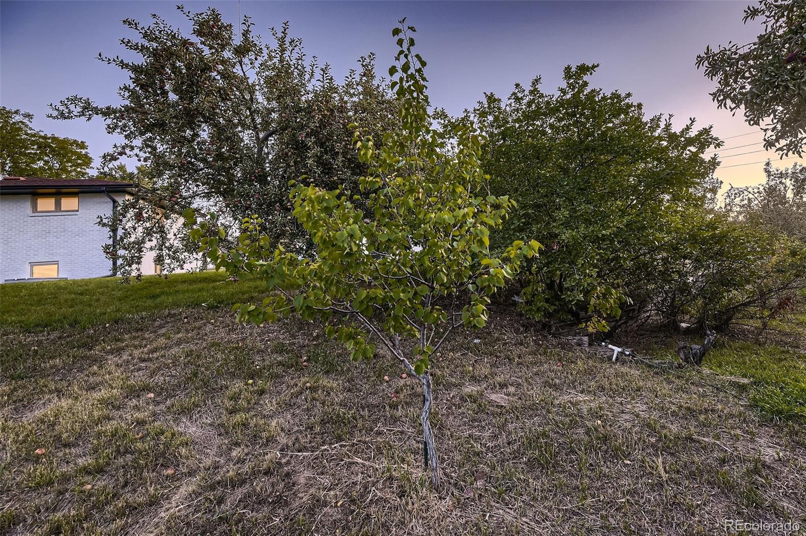 MLS Image #35 for 7315  upham court,arvada, Colorado