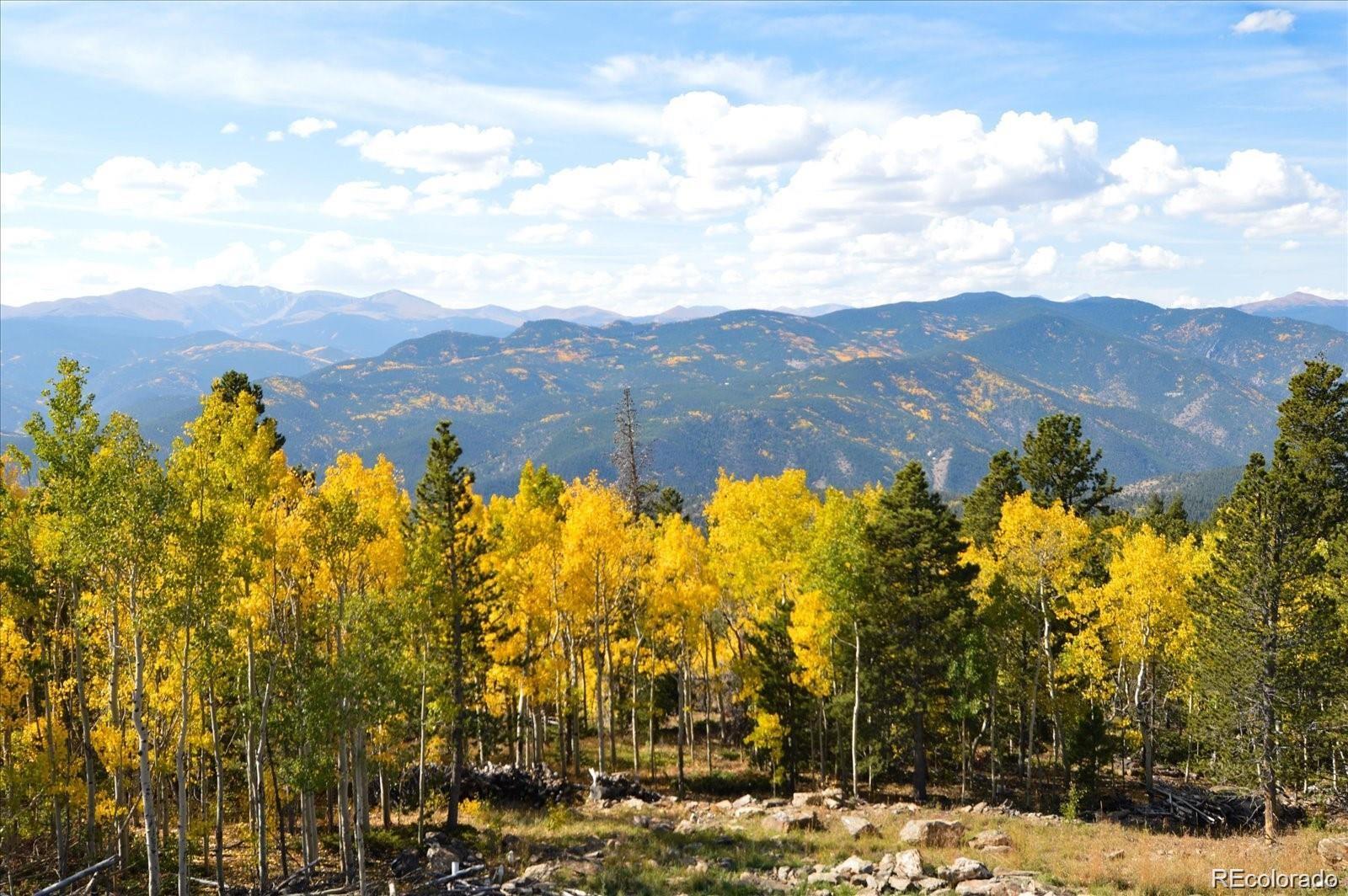 MLS Image #34 for 565  bald mountain drive,central city, Colorado