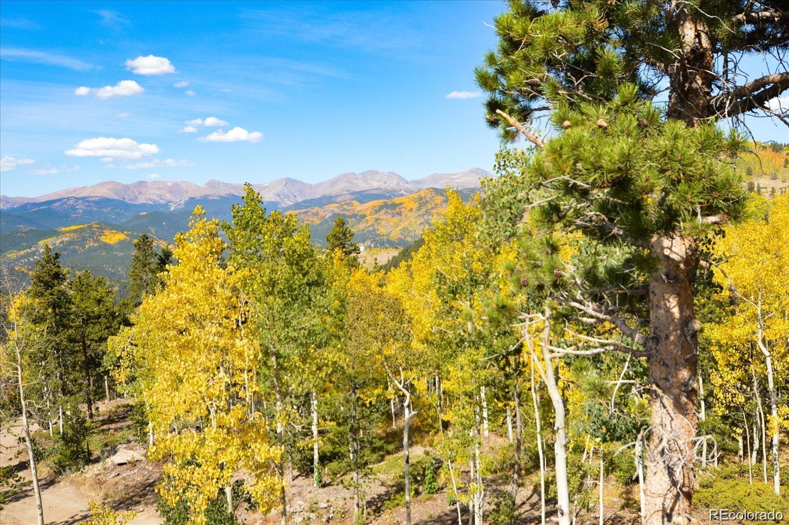 MLS Image #35 for 565  bald mountain drive,central city, Colorado