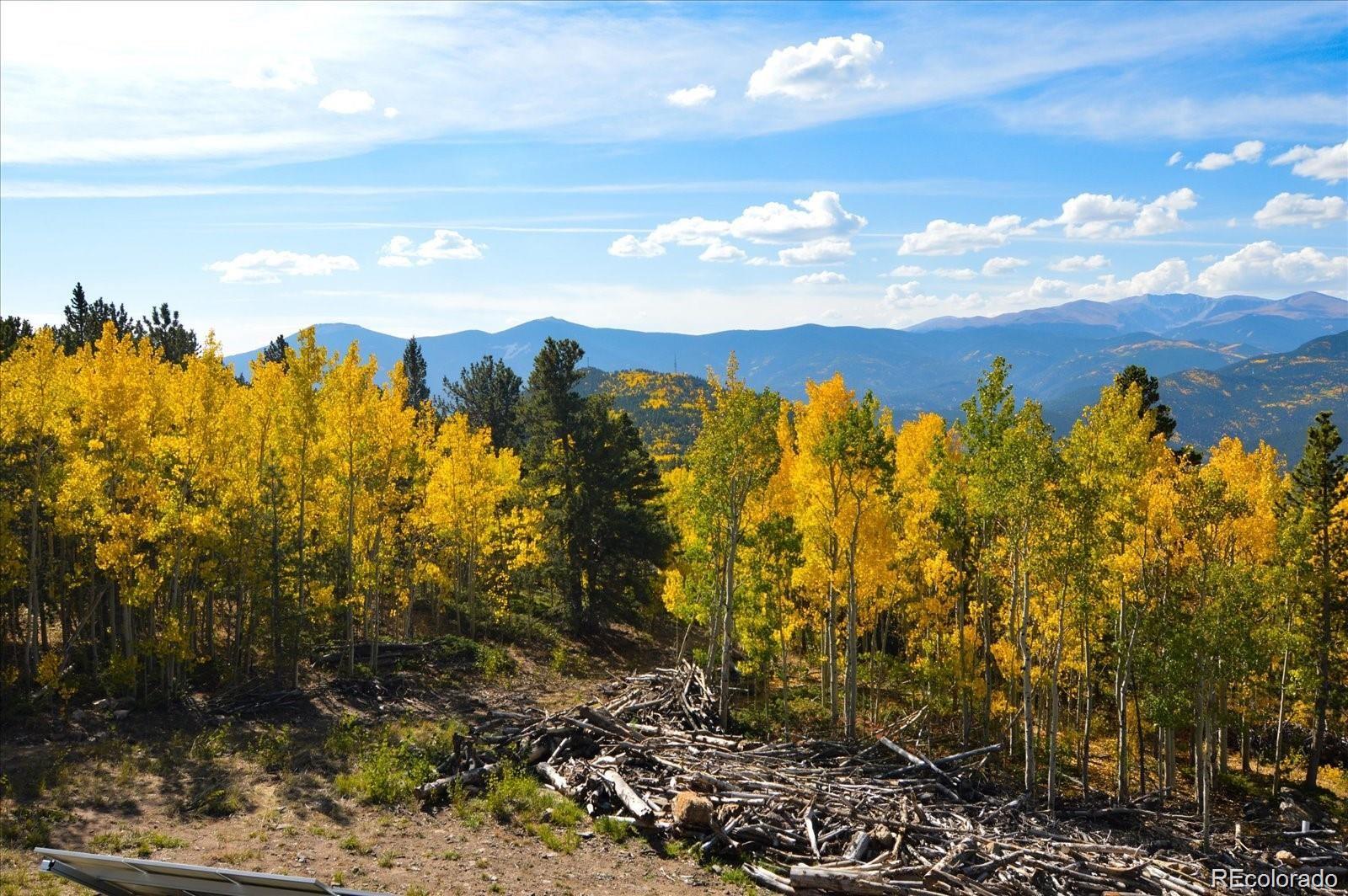 MLS Image #36 for 565  bald mountain drive,central city, Colorado