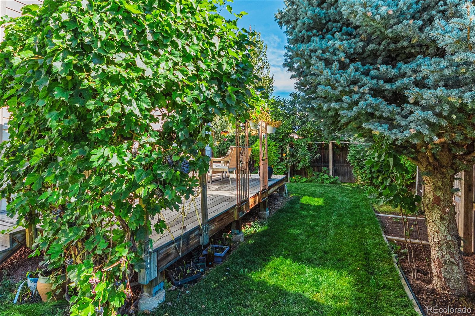 MLS Image #25 for 5242  devon avenue,castle rock, Colorado