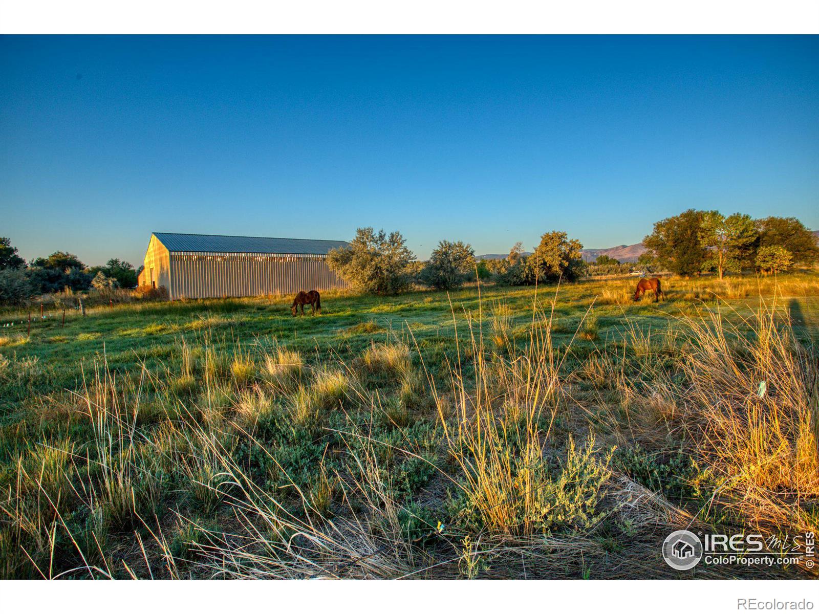 MLS Image #37 for 10551 n 65th street,longmont, Colorado