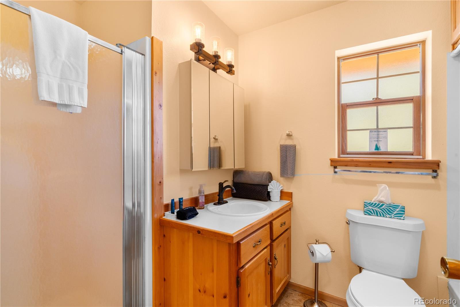 MLS Image #10 for 3635  bird point drive,cotopaxi, Colorado