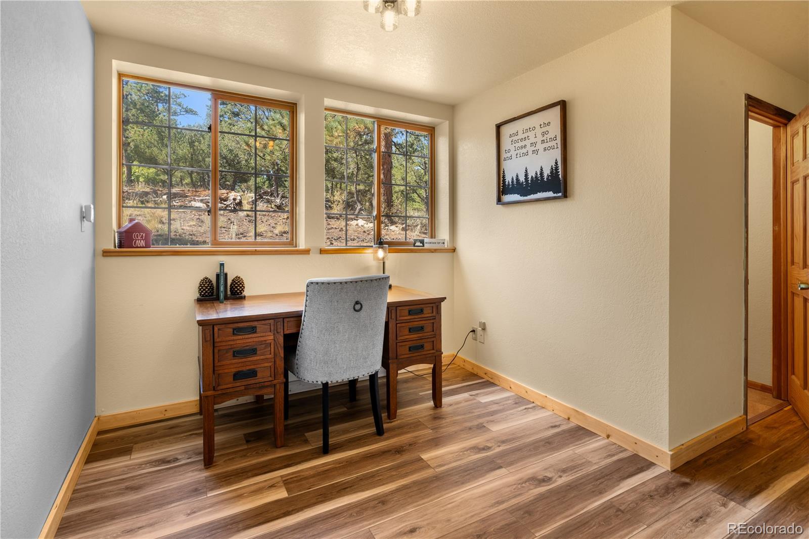 MLS Image #13 for 3635  bird point drive,cotopaxi, Colorado