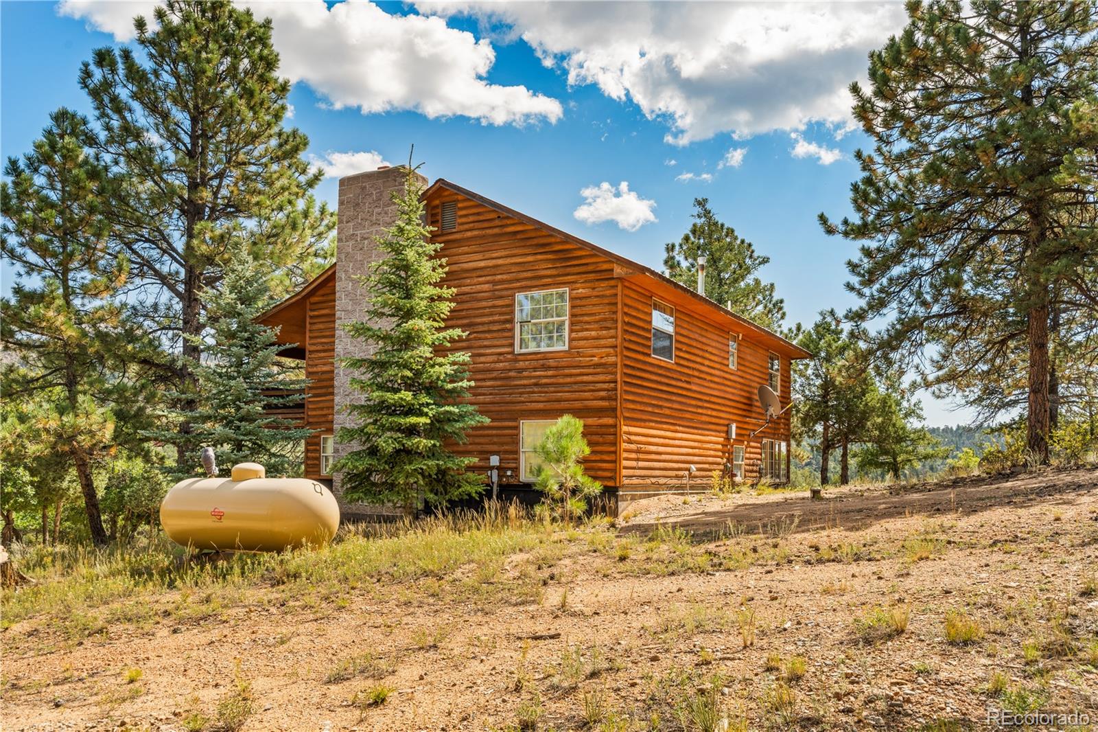 MLS Image #21 for 3635  bird point drive,cotopaxi, Colorado