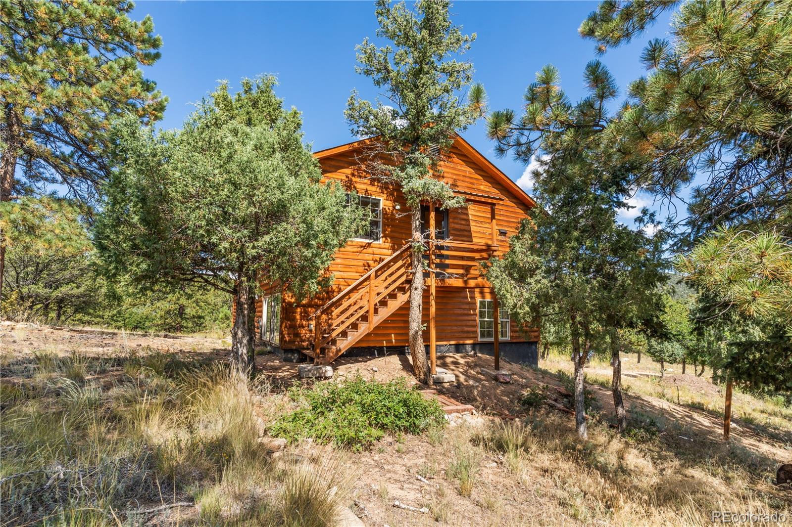 MLS Image #23 for 3635  bird point drive,cotopaxi, Colorado