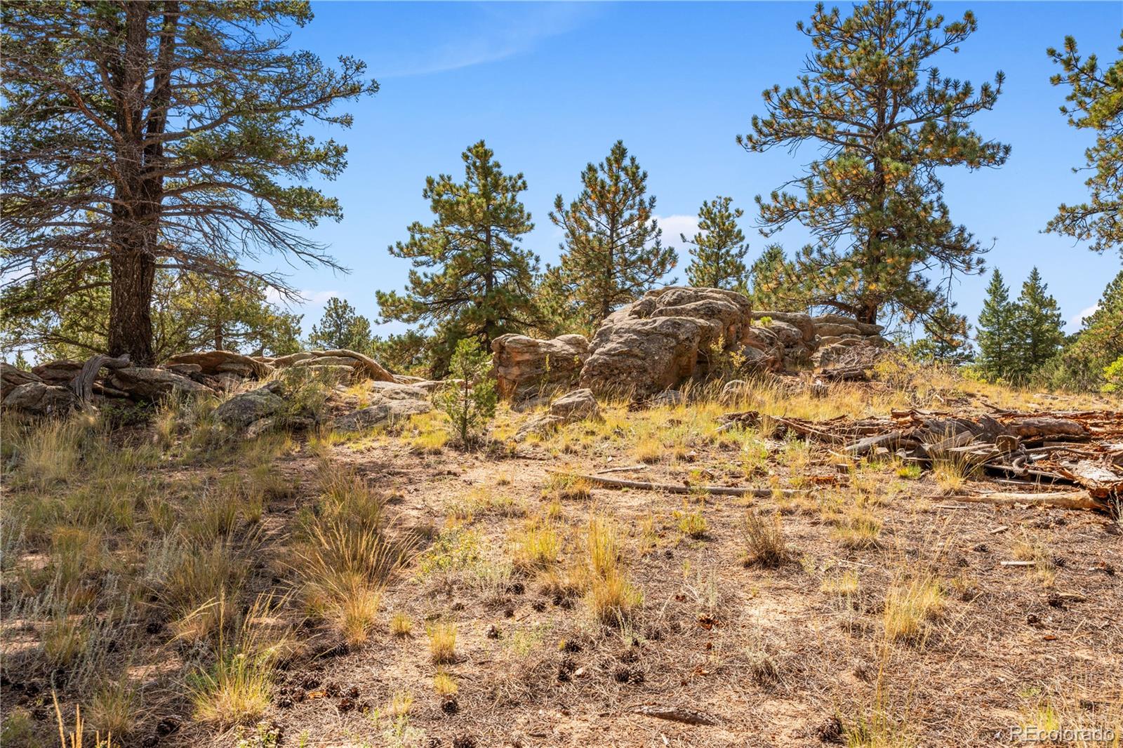 MLS Image #24 for 3635  bird point drive,cotopaxi, Colorado