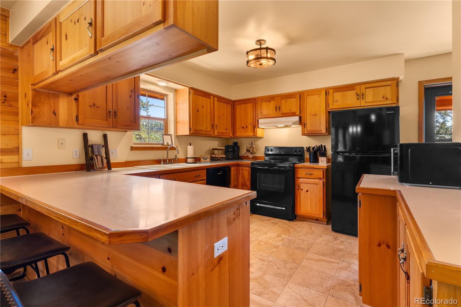 MLS Image #4 for 3635  bird point drive,cotopaxi, Colorado