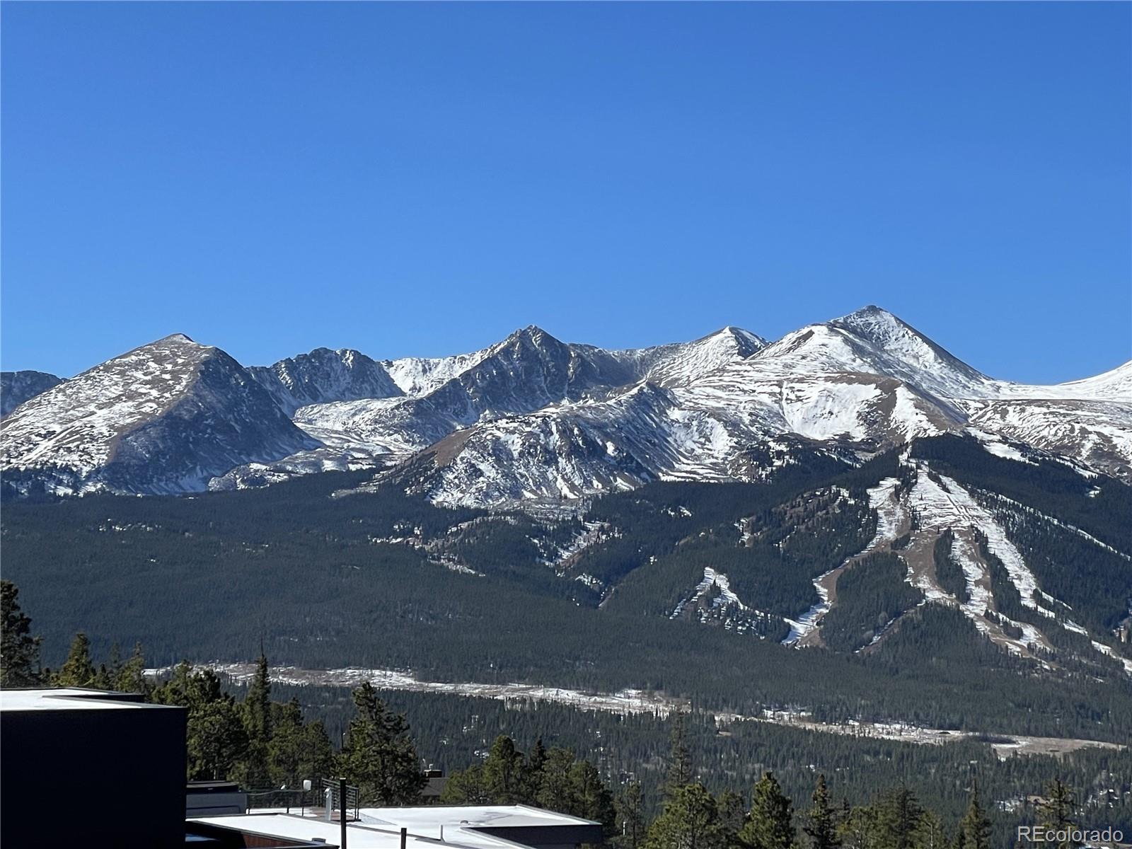 MLS Image #3 for 316 n fuller placer road,breckenridge, Colorado