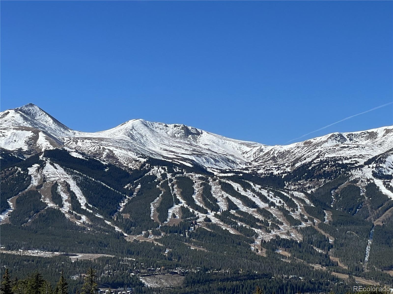 MLS Image #4 for 316 n fuller placer road,breckenridge, Colorado