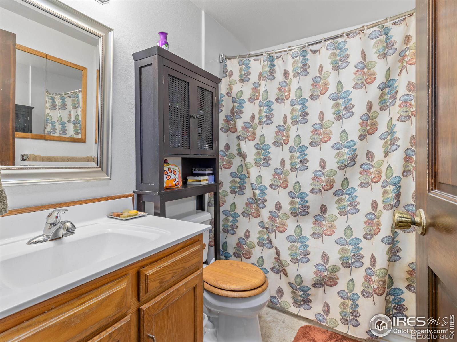 MLS Image #12 for 621  landers street,estes park, Colorado