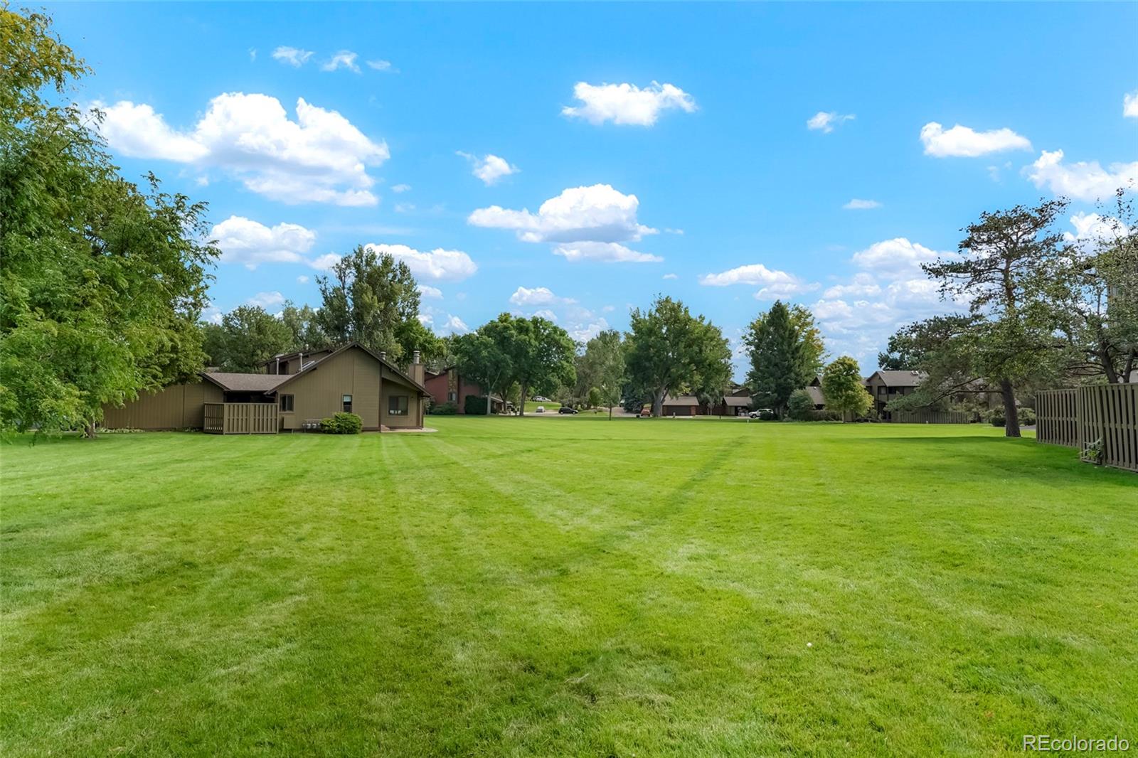 MLS Image #38 for 1024  wind trail,fort collins, Colorado