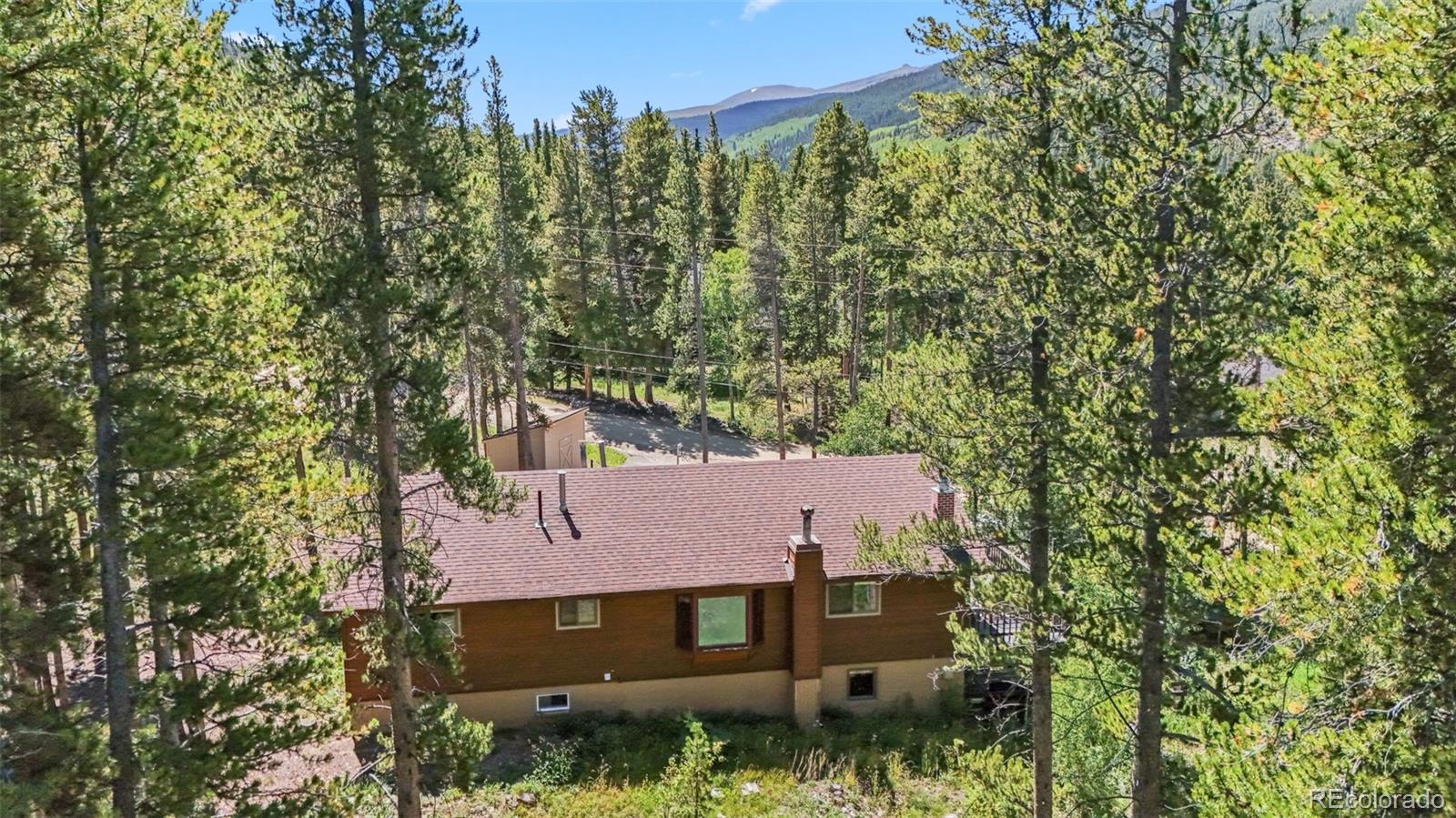 MLS Image #47 for 49  regal circle,breckenridge, Colorado