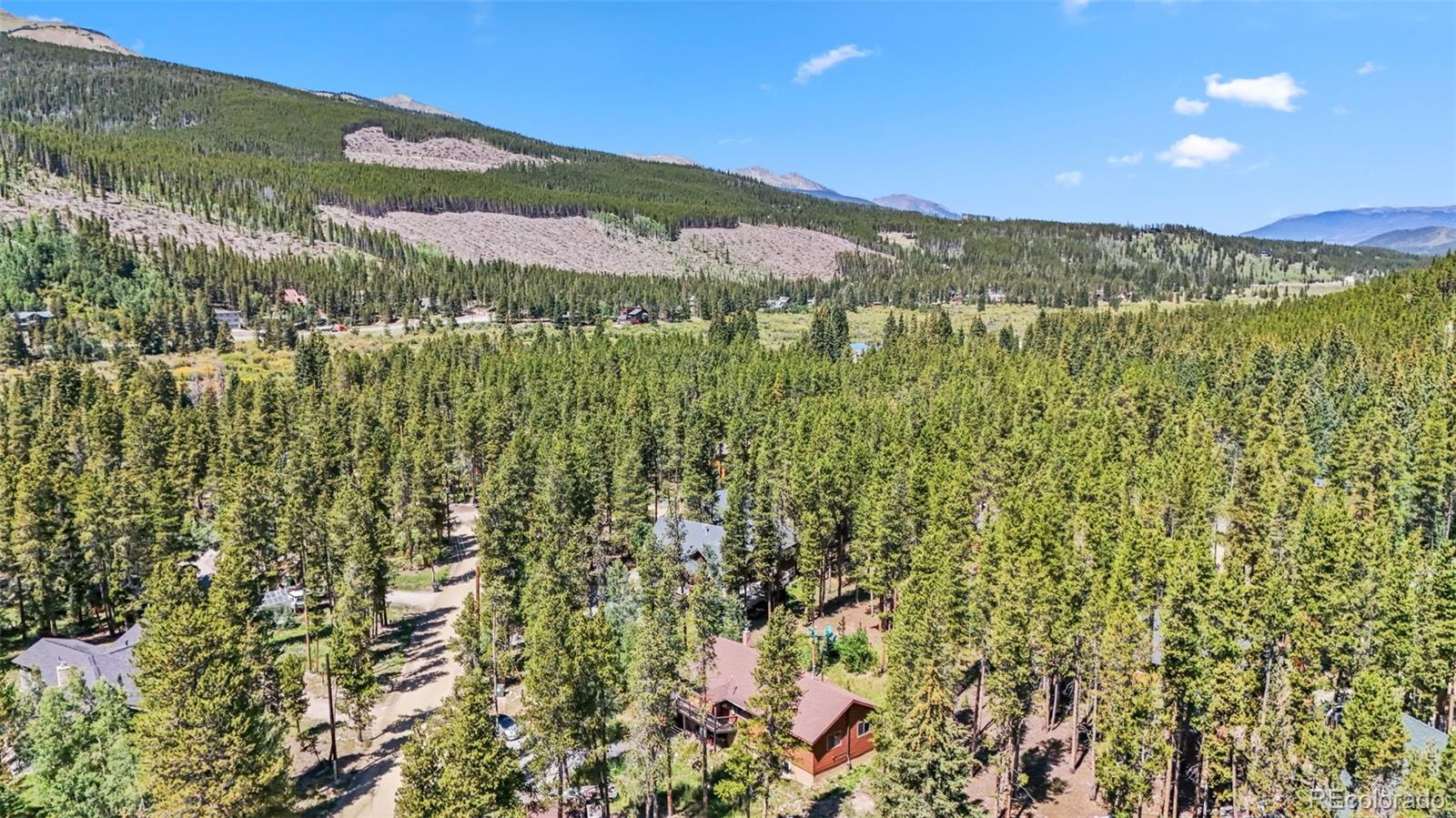 MLS Image #49 for 49  regal circle,breckenridge, Colorado