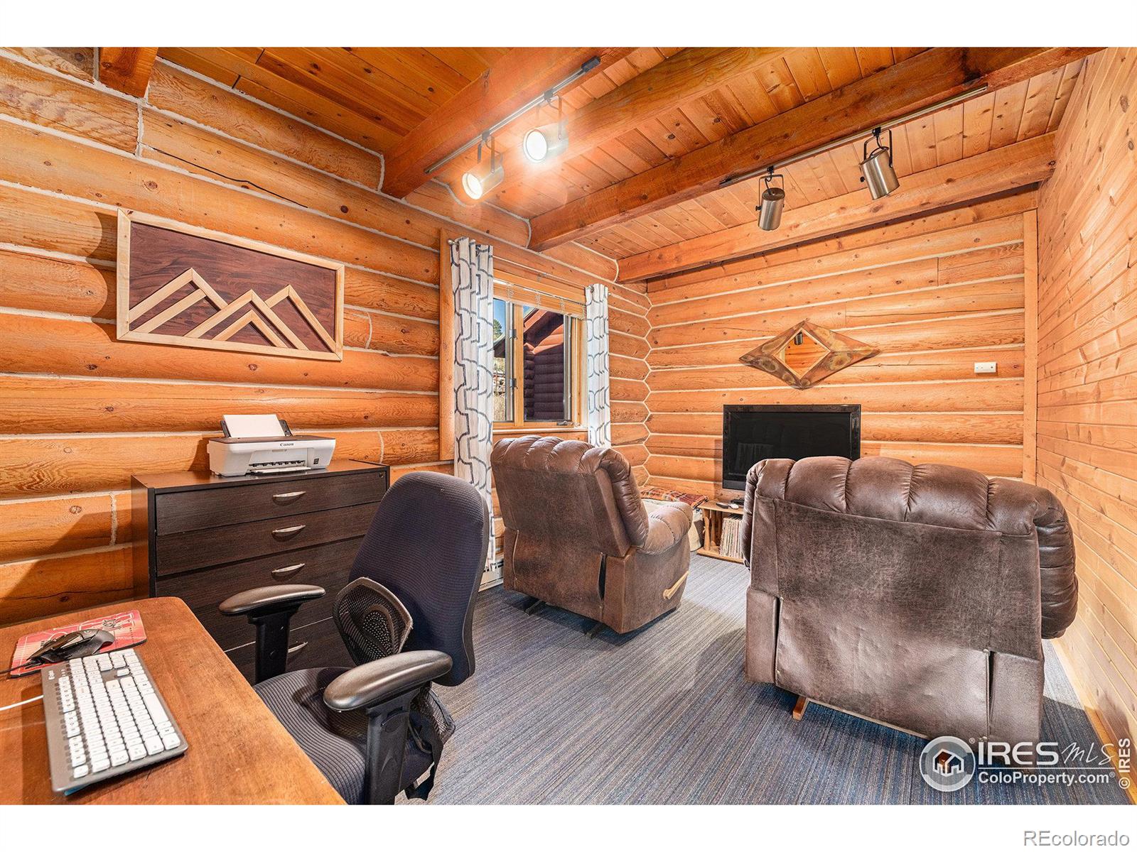 MLS Image #20 for 404  mica court,bellvue, Colorado