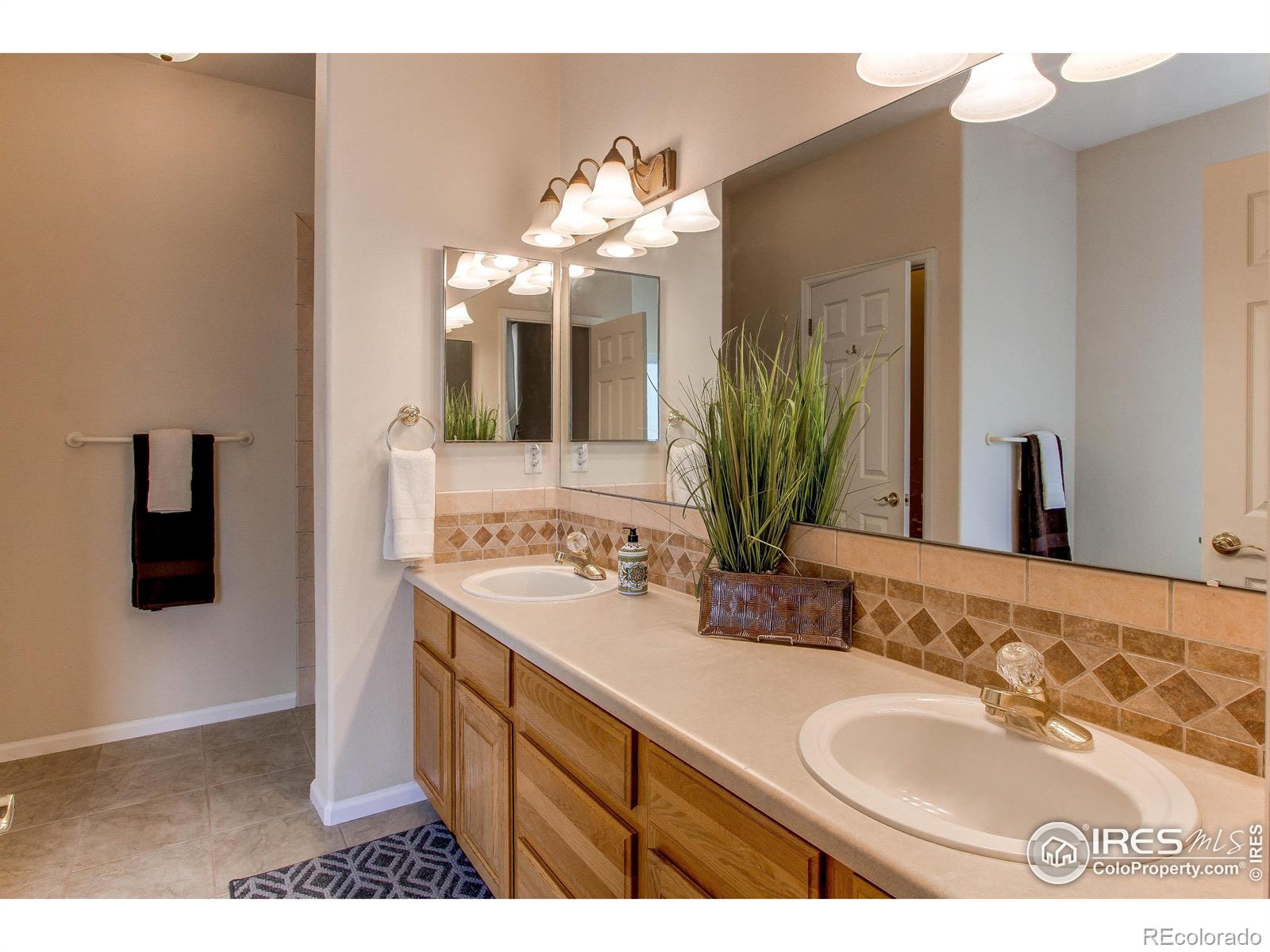 MLS Image #17 for 3209  reedgrass court,fort collins, Colorado