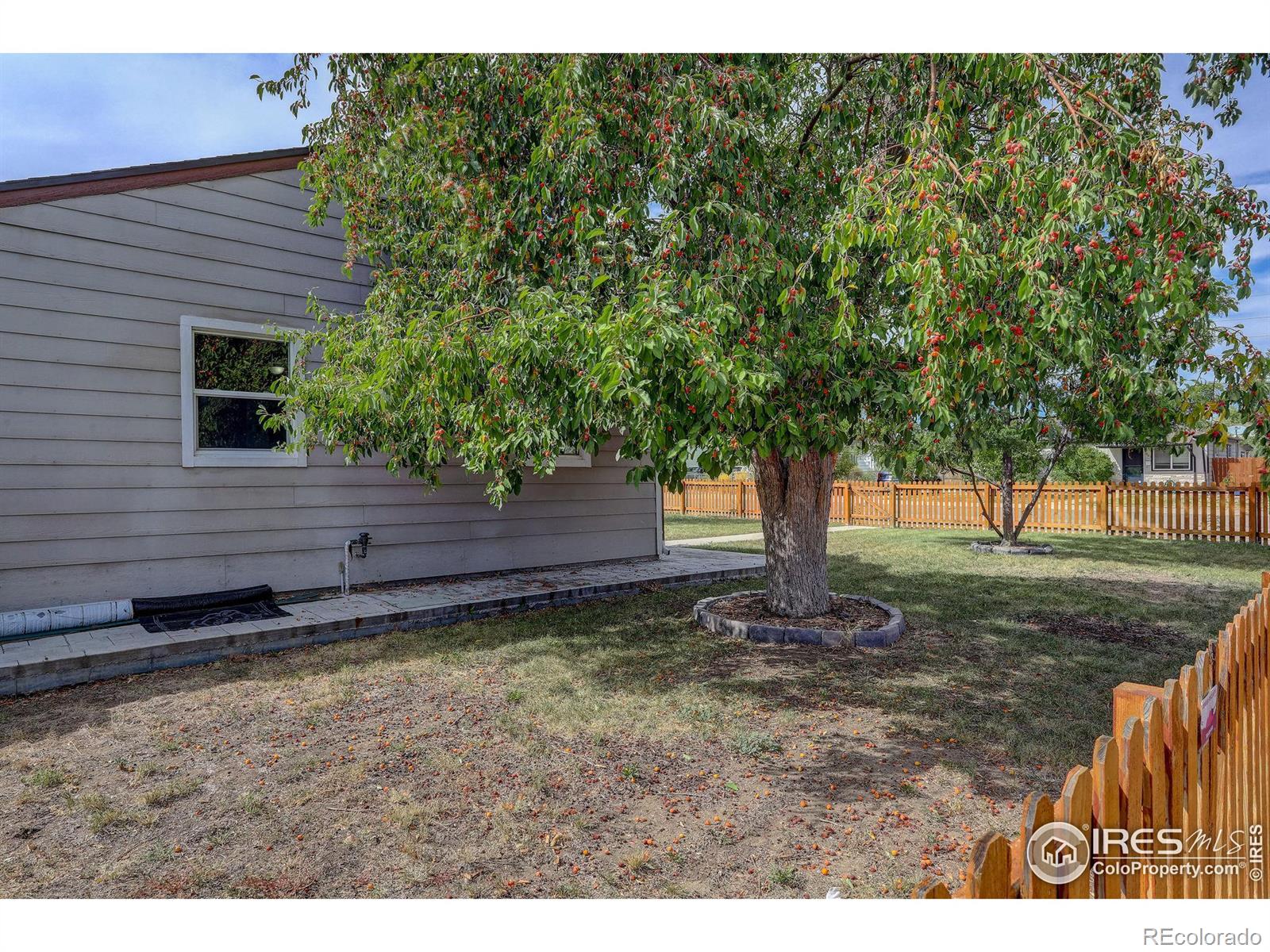 MLS Image #11 for 1980  ruth drive,thornton, Colorado