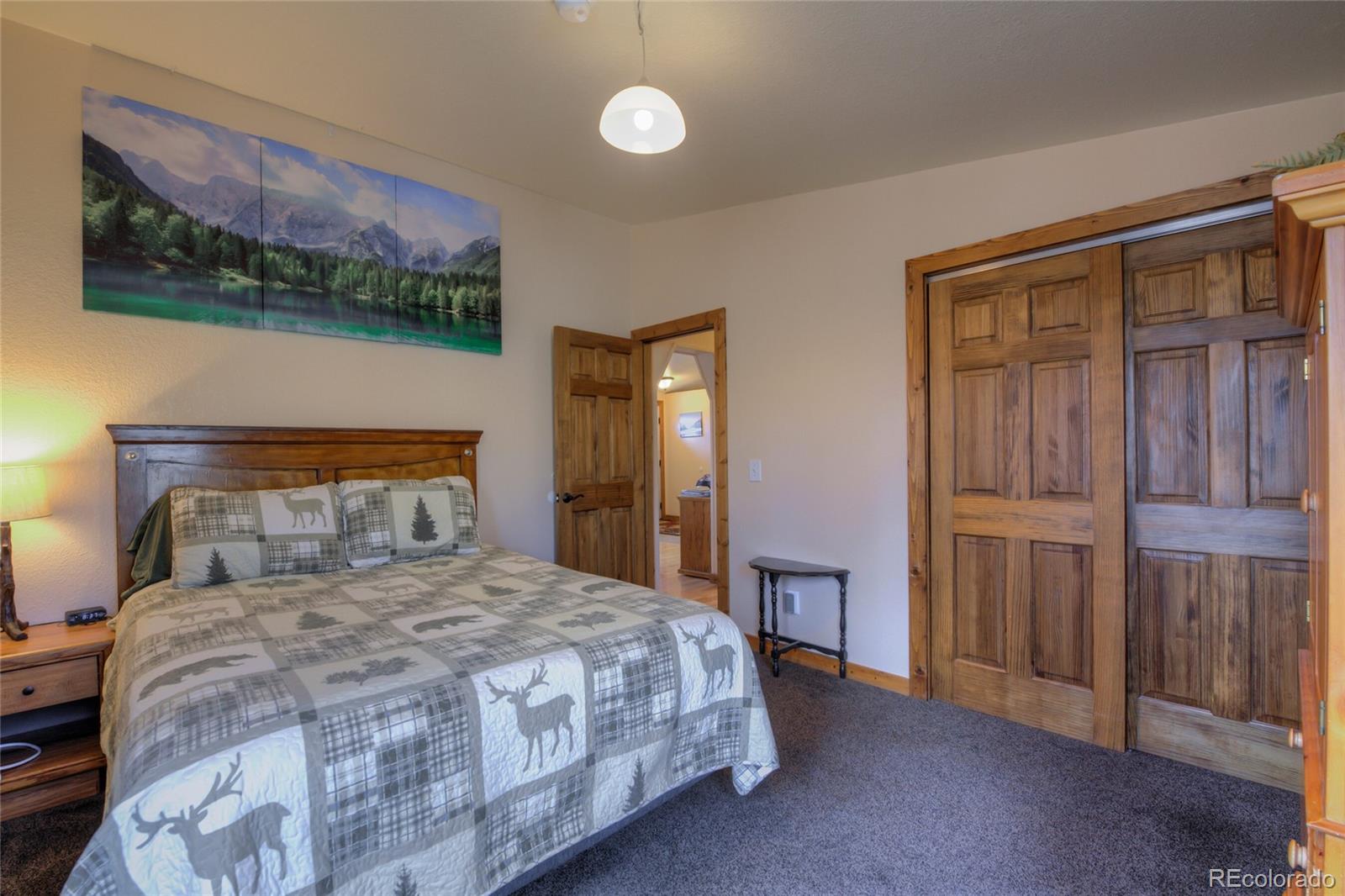 MLS Image #14 for 2346  high creek road,fairplay, Colorado