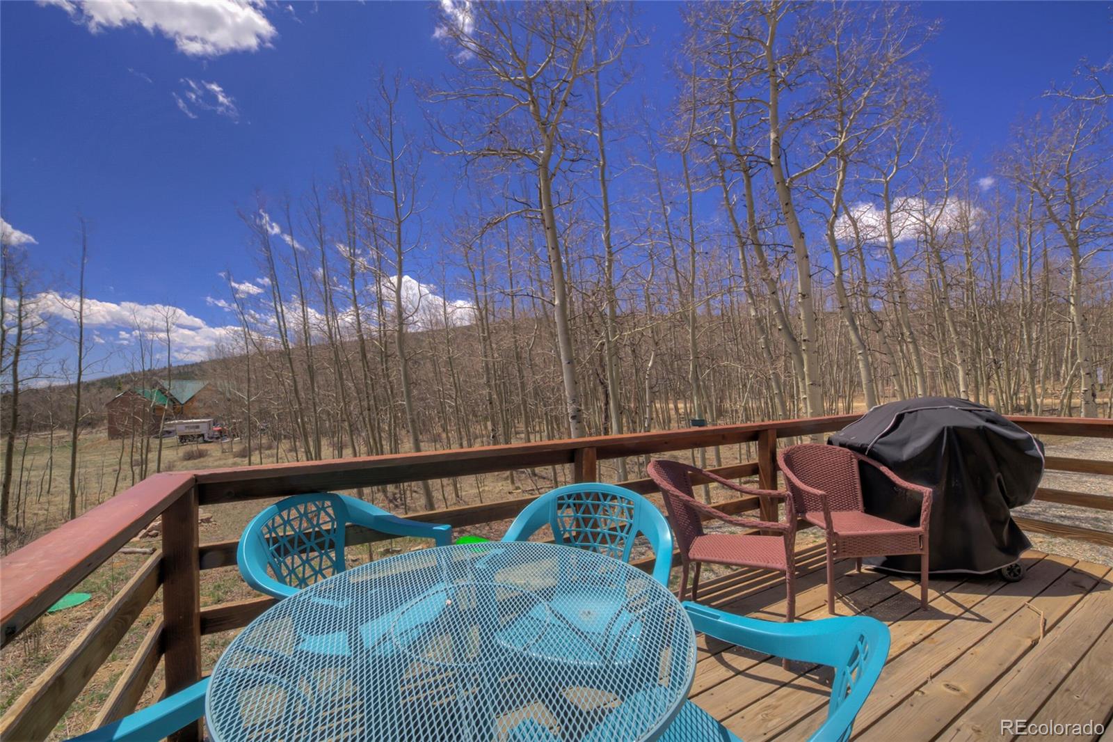 MLS Image #2 for 2346  high creek road,fairplay, Colorado