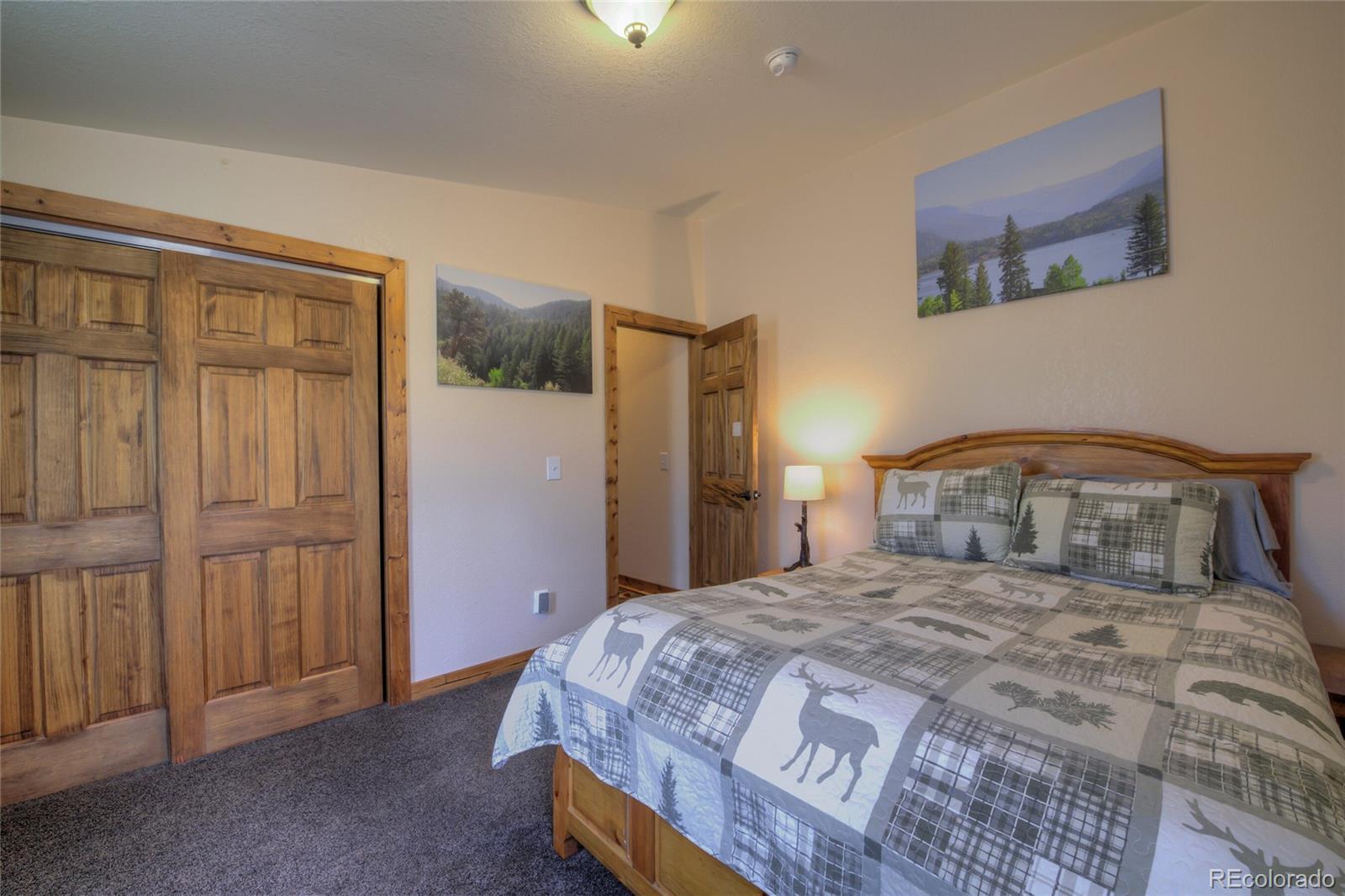 MLS Image #21 for 2346  high creek road,fairplay, Colorado