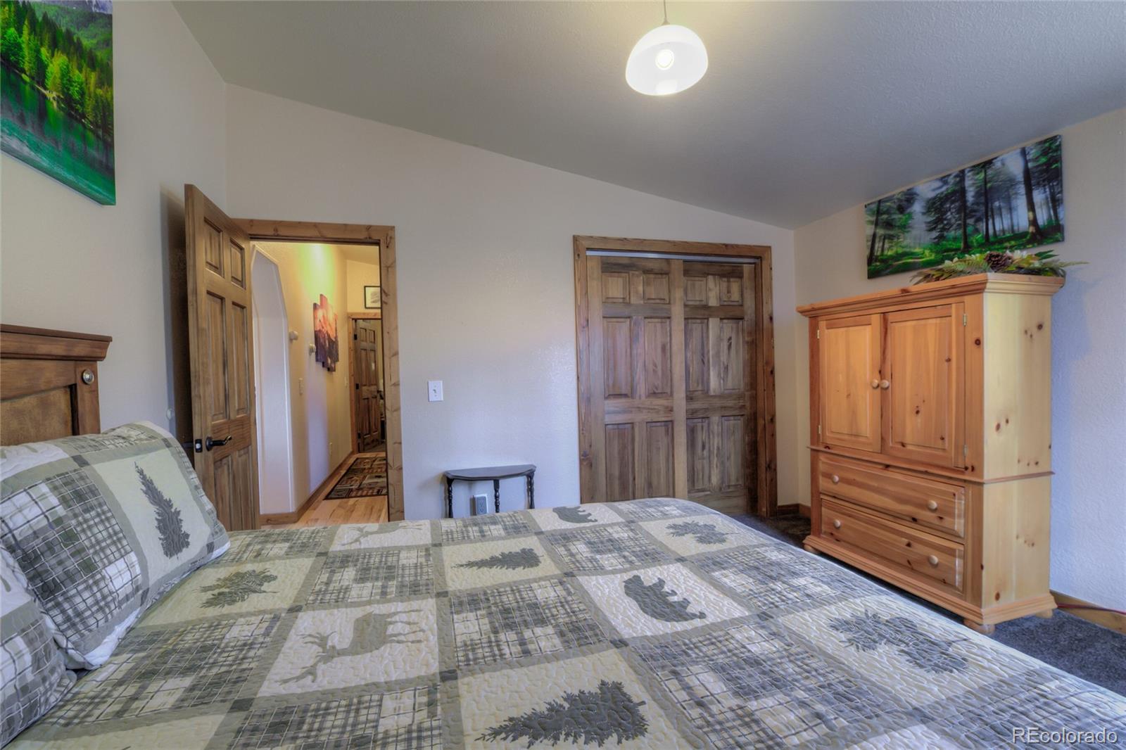 MLS Image #23 for 2346  high creek road,fairplay, Colorado