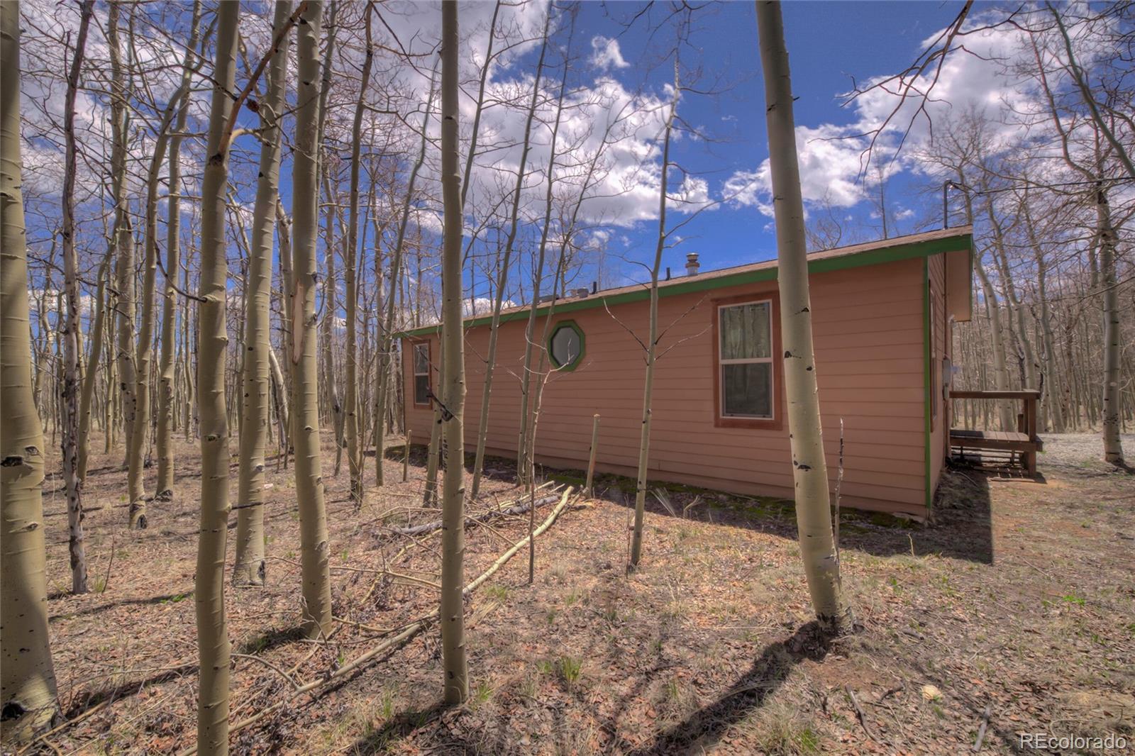 MLS Image #3 for 2346  high creek road,fairplay, Colorado