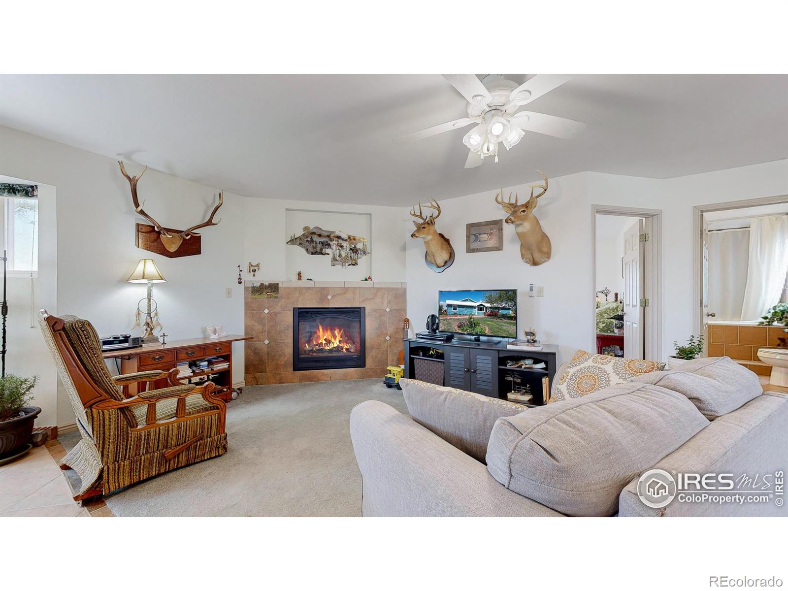 MLS Image #5 for 18309  county road 86 ,ault, Colorado