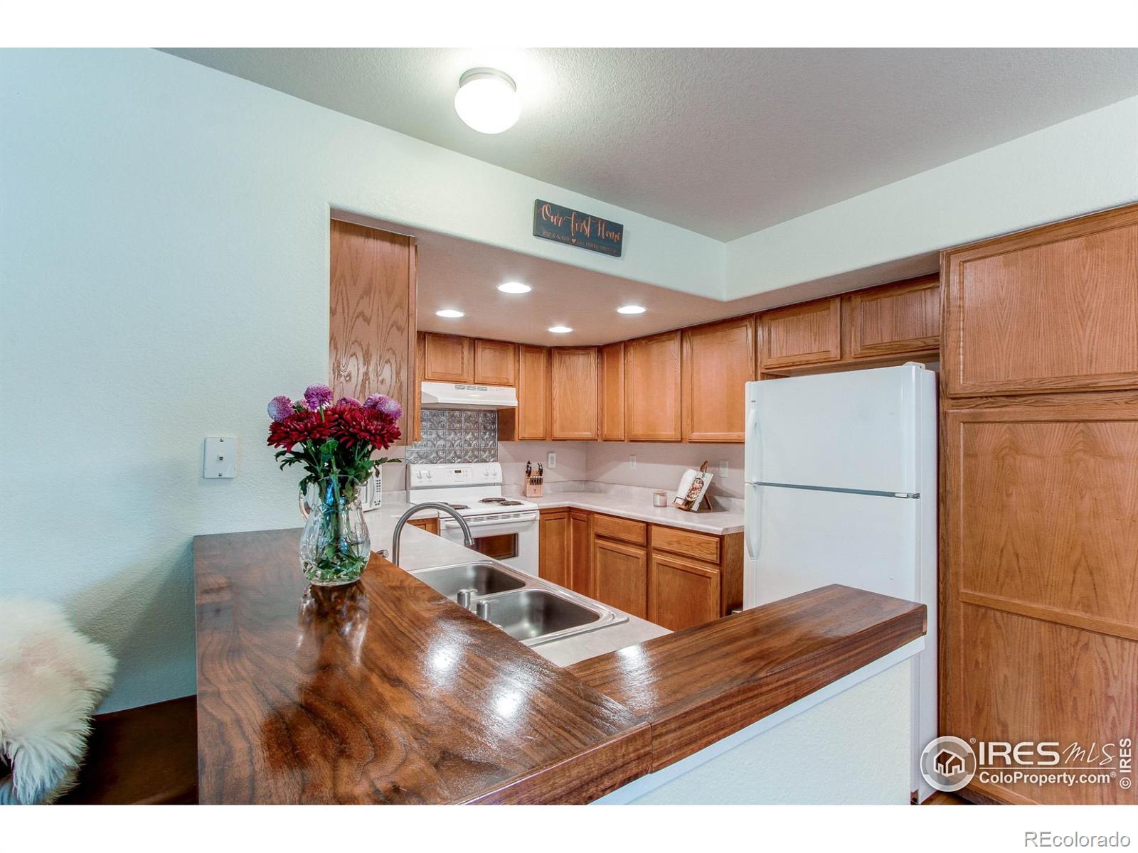 MLS Image #8 for 1602  robertson street,fort collins, Colorado