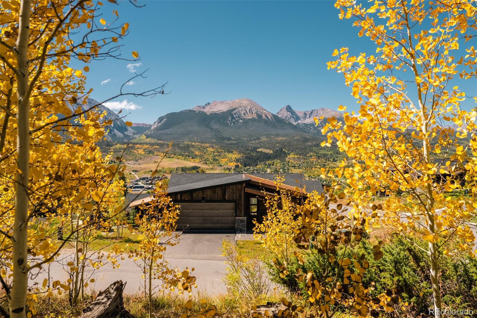 MLS Image #3 for 344  angler mountain ranch road,silverthorne, Colorado