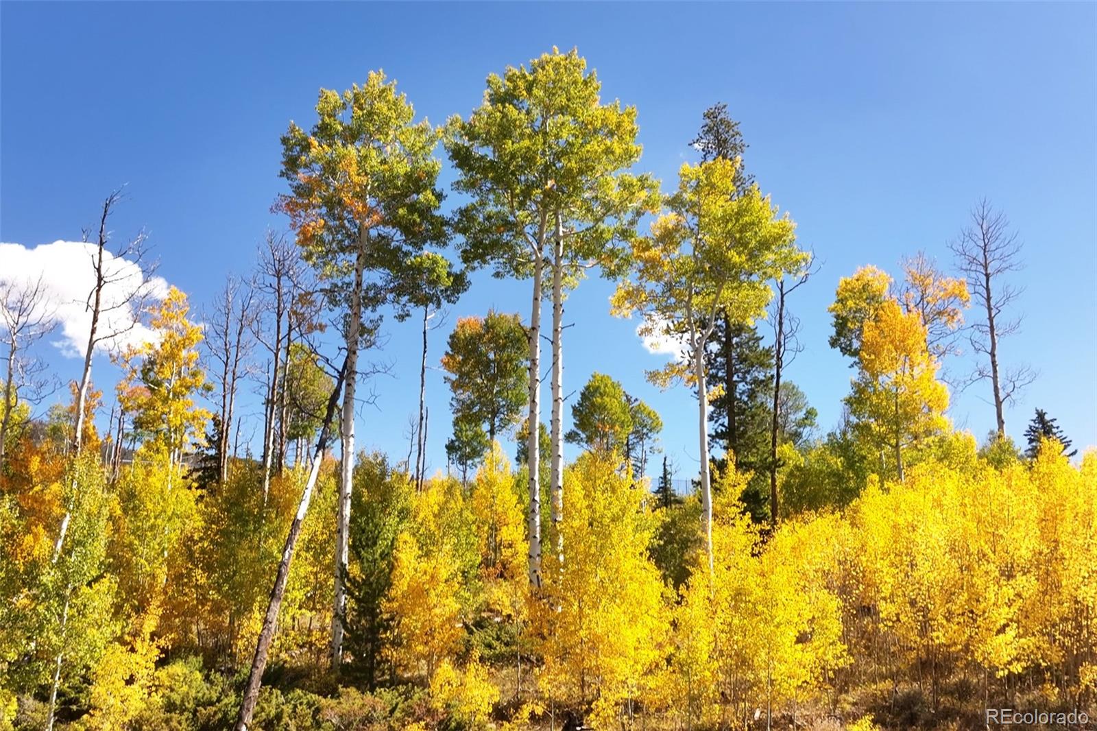 MLS Image #33 for 344  angler mountain ranch road,silverthorne, Colorado