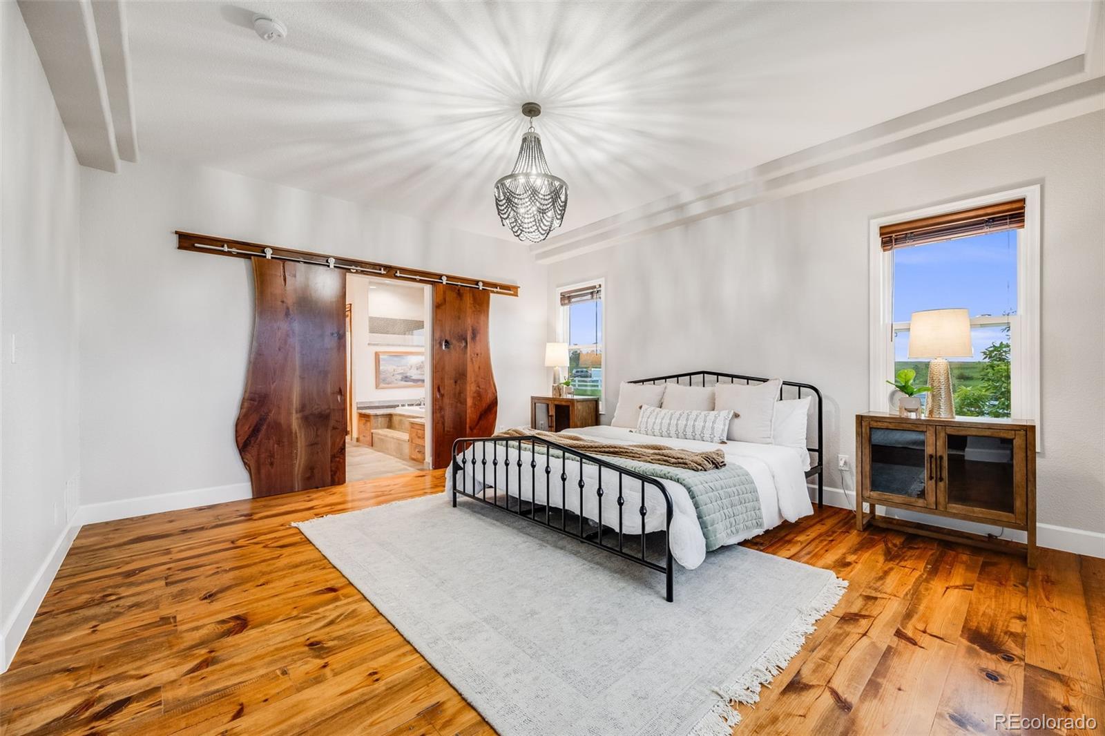 MLS Image #17 for 46093  bristlecone court,parker, Colorado