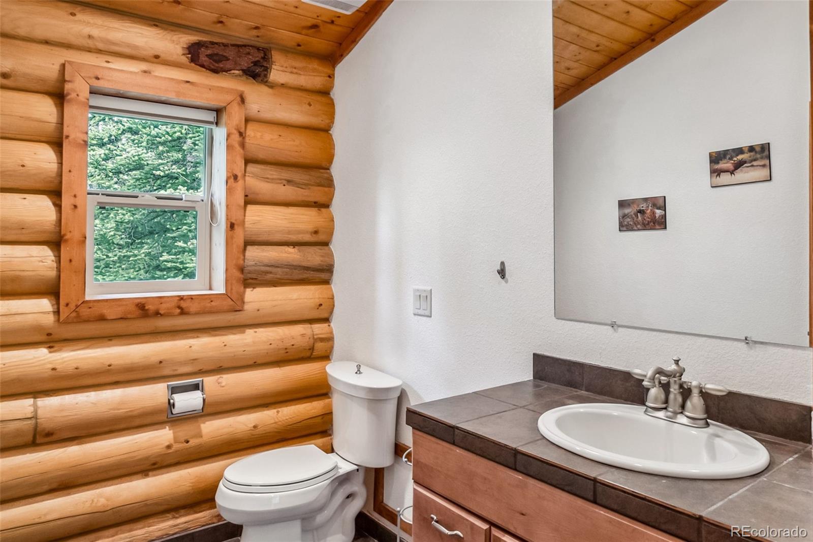 MLS Image #14 for 274  cr 672 ,breckenridge, Colorado