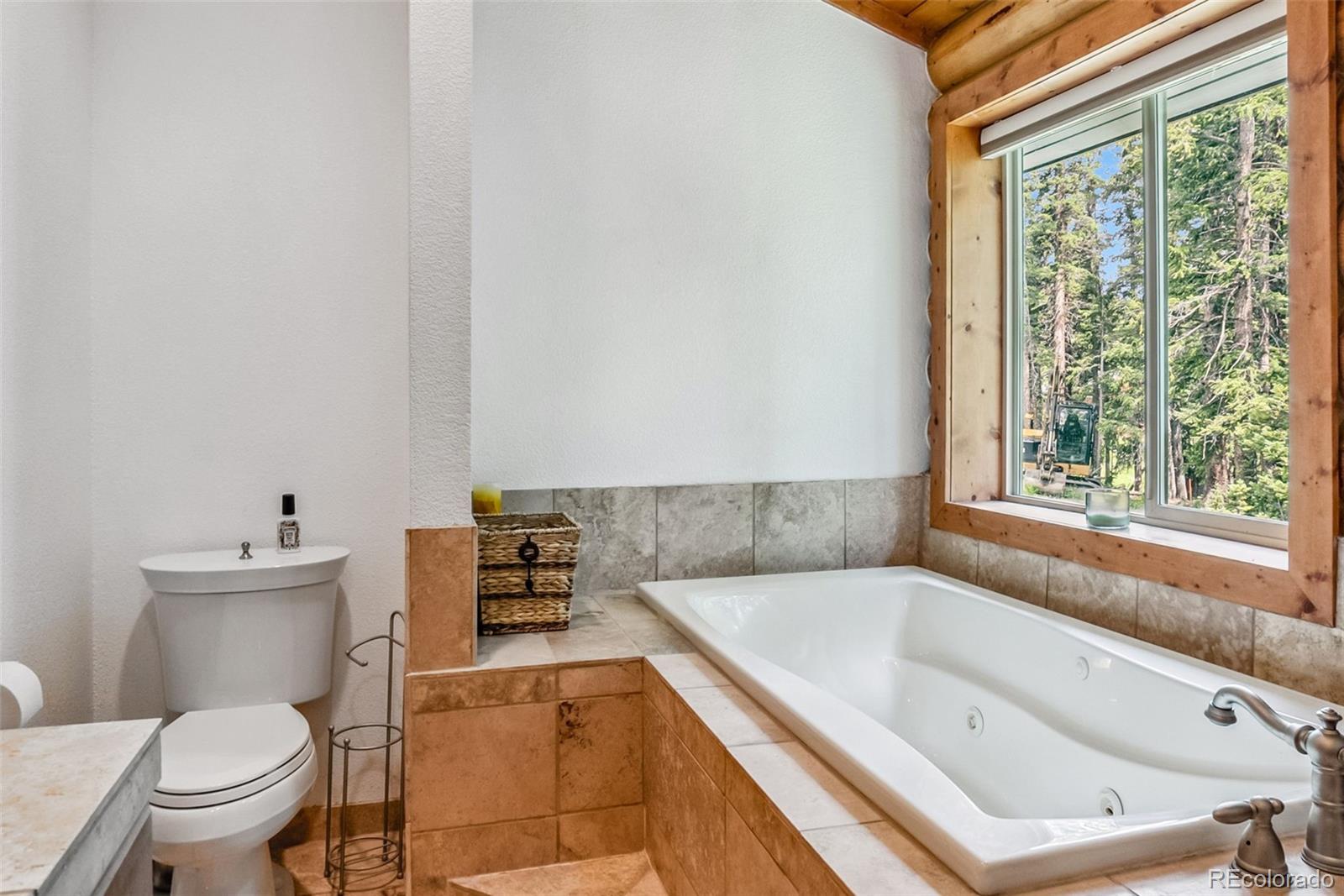 MLS Image #21 for 274  cr 672 ,breckenridge, Colorado