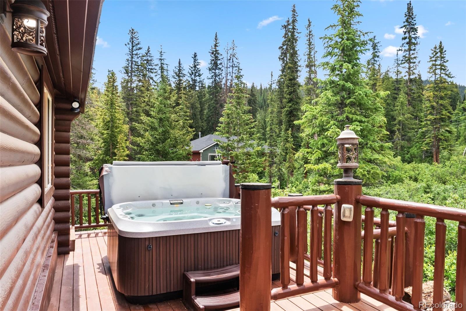 MLS Image #3 for 274  cr 672 ,breckenridge, Colorado